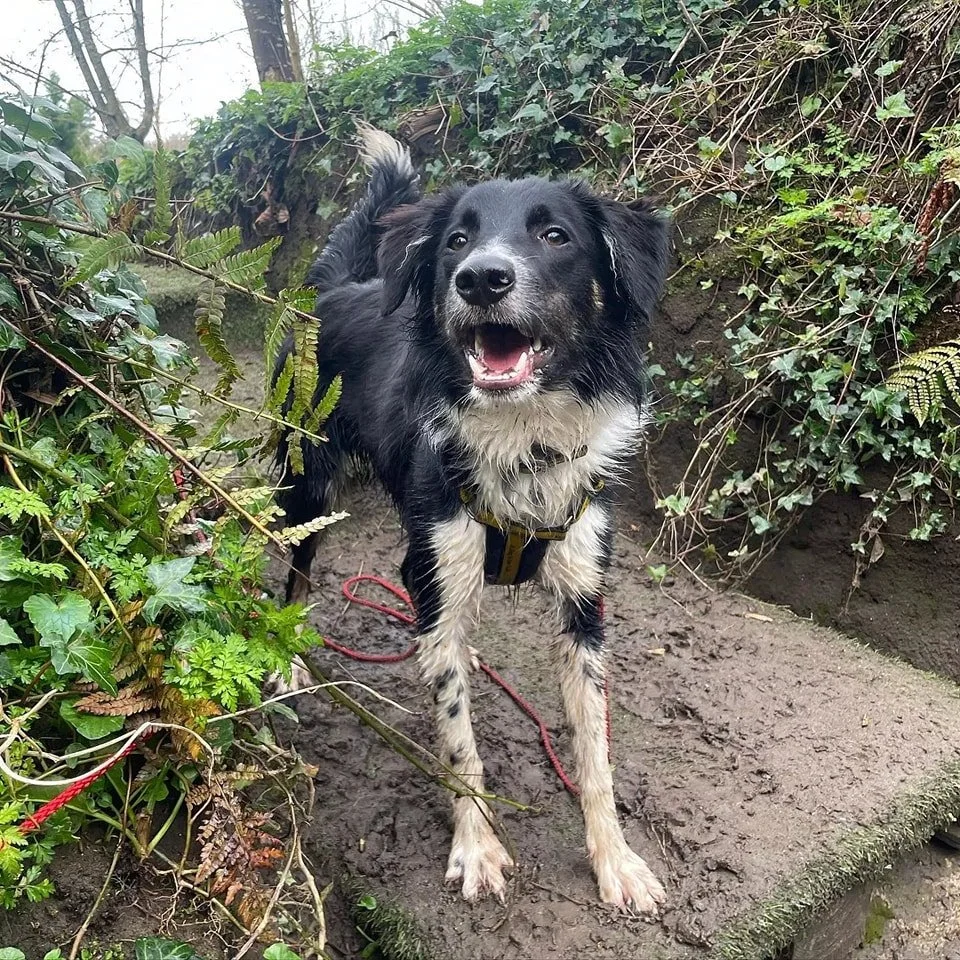 436489153_425107636934476_2985712506846135823_n.jpg