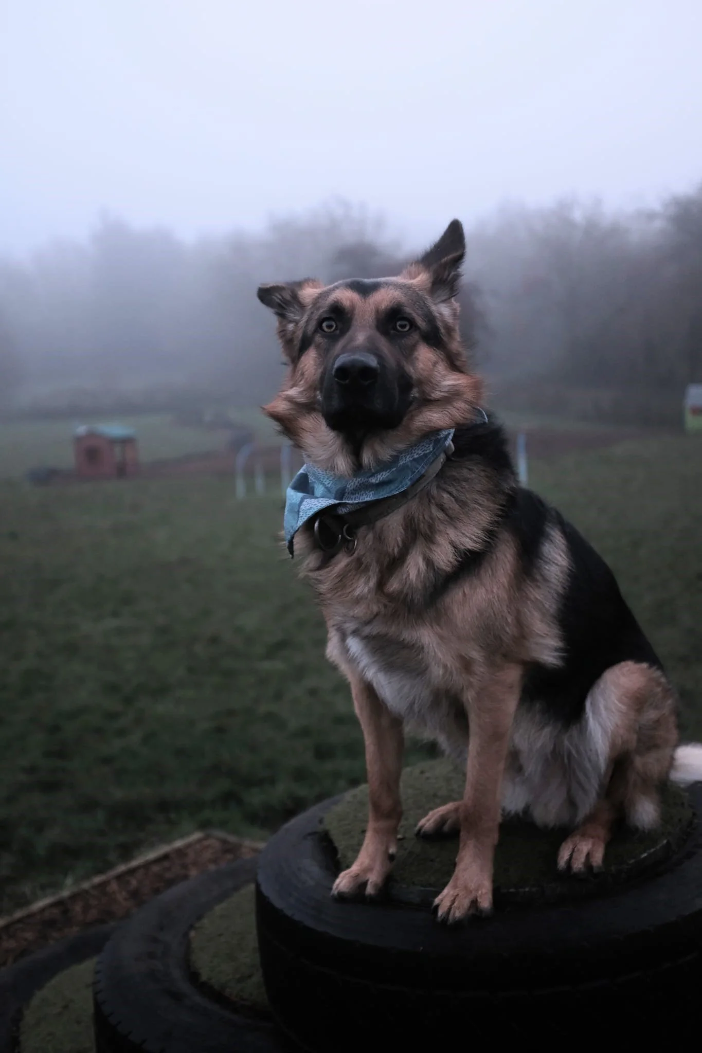 WhatsApp Image 2024-09-06 at 15.02.04 Whatson on tiers.jpeg