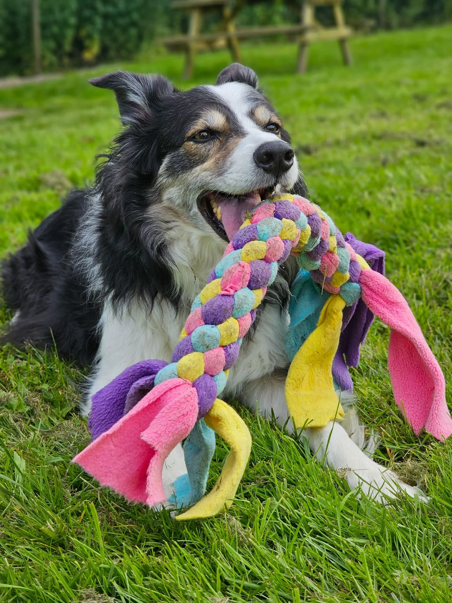 WhatsApp Image 2024-09-06 at 15.02.07.jpeg