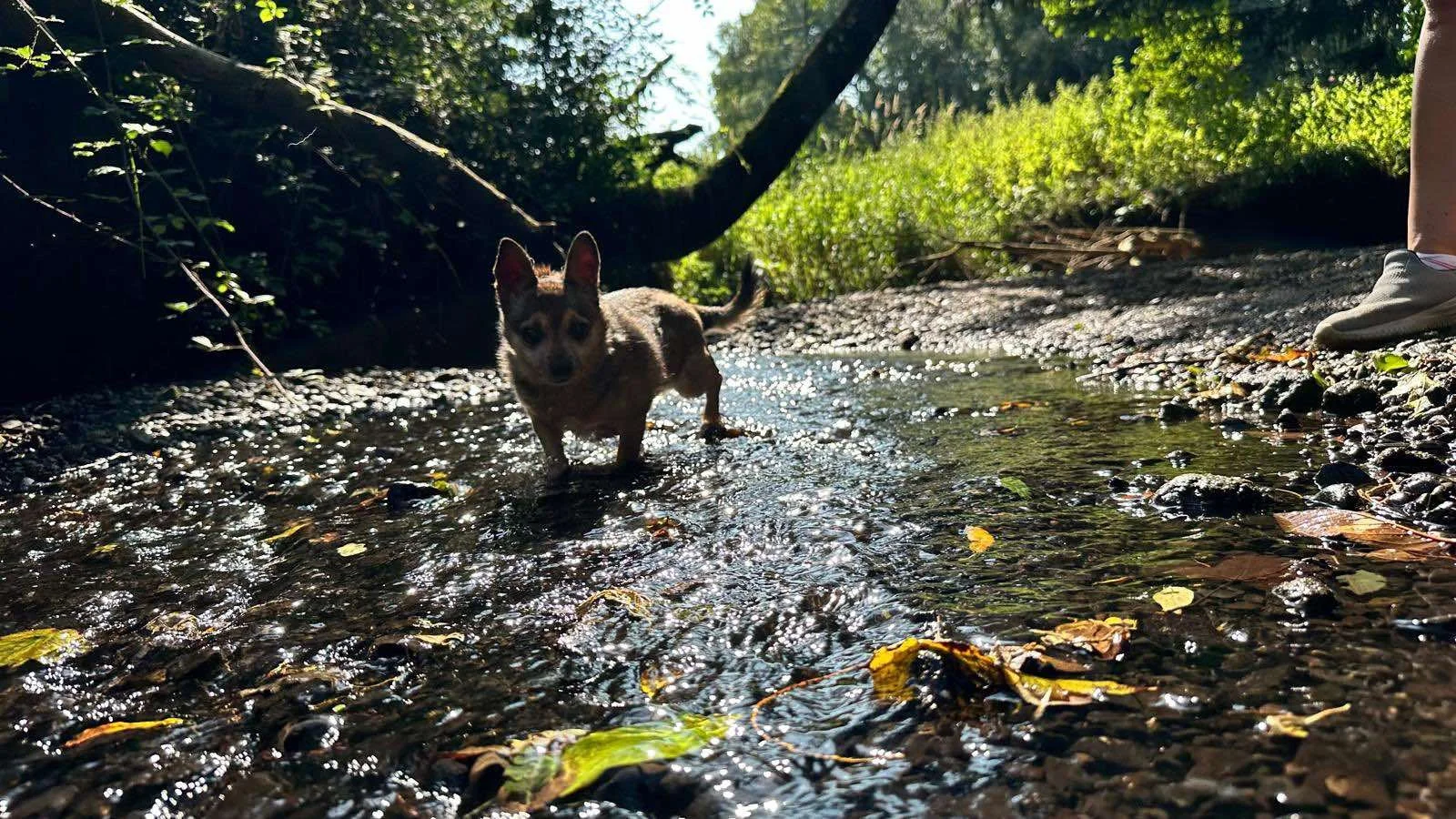 WhatsApp Image 2024-09-06 at 14.54.43 (1).jpeg