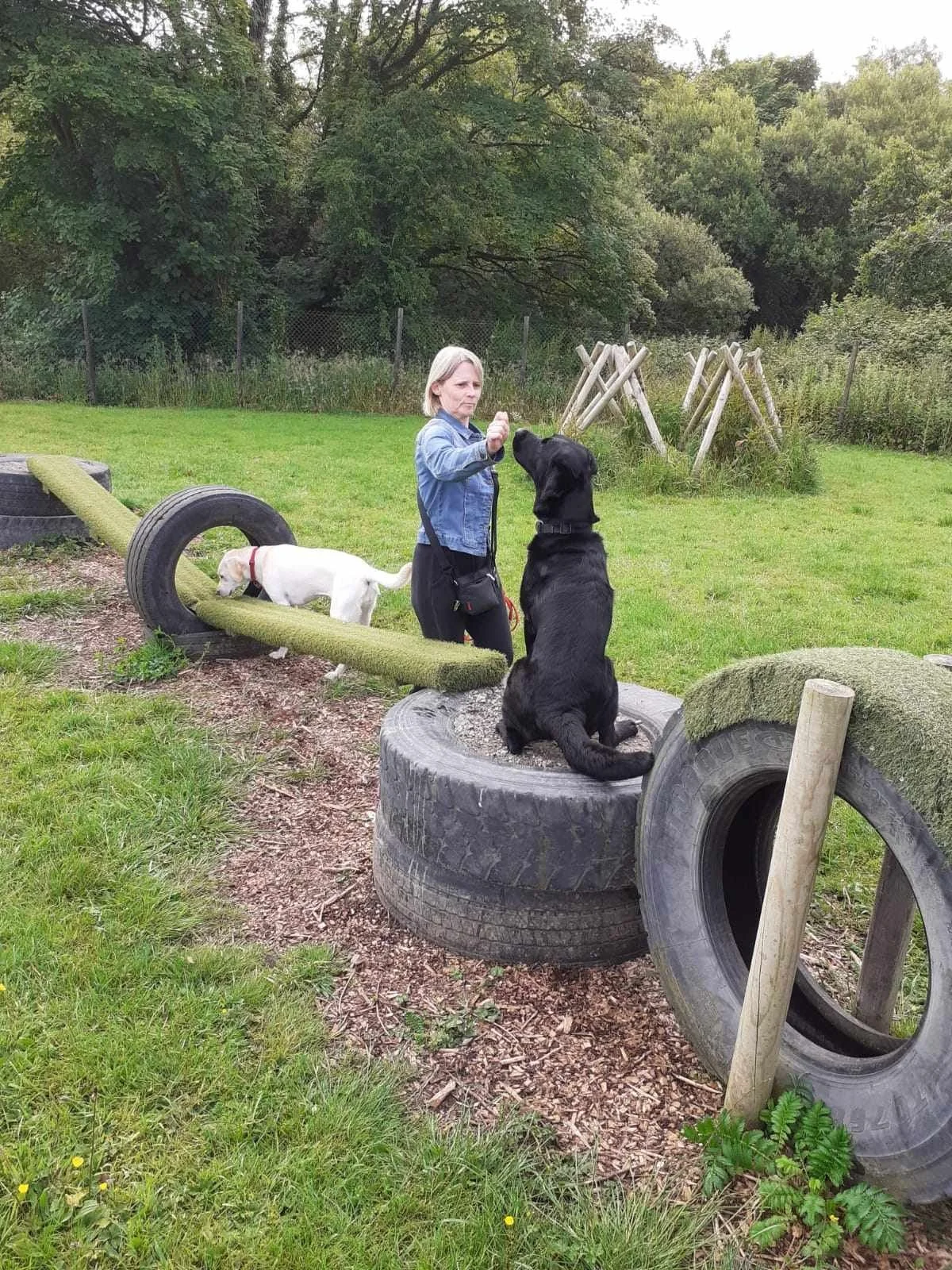 WhatsApp Image 2024-09-06 at 14.54.52.jpeg