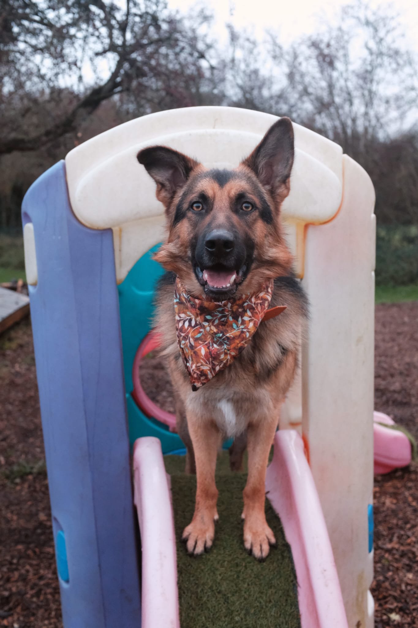 WhatsApp Image 2024-09-06 at 15.02.03 (1).jpeg