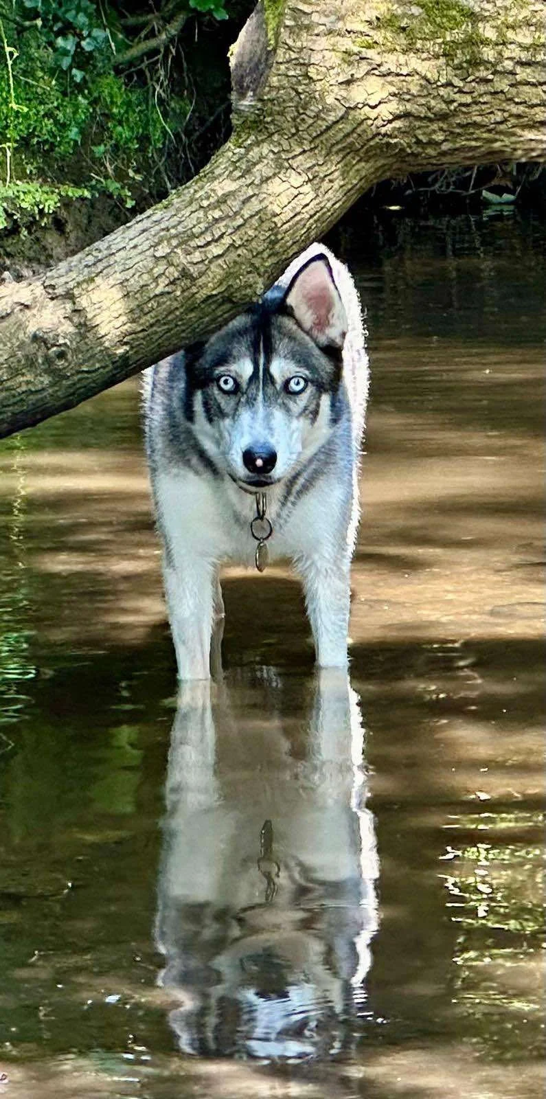 WhatsApp Image 2024-09-06 at 14.54.44.jpeg