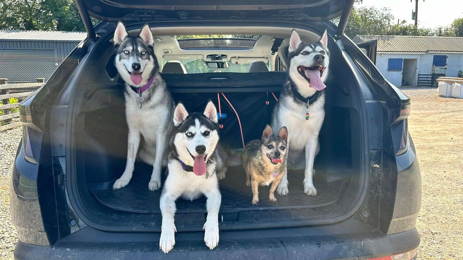 WhatsApp Image 2024-09-06 at 14.54.44 (1).jpeg