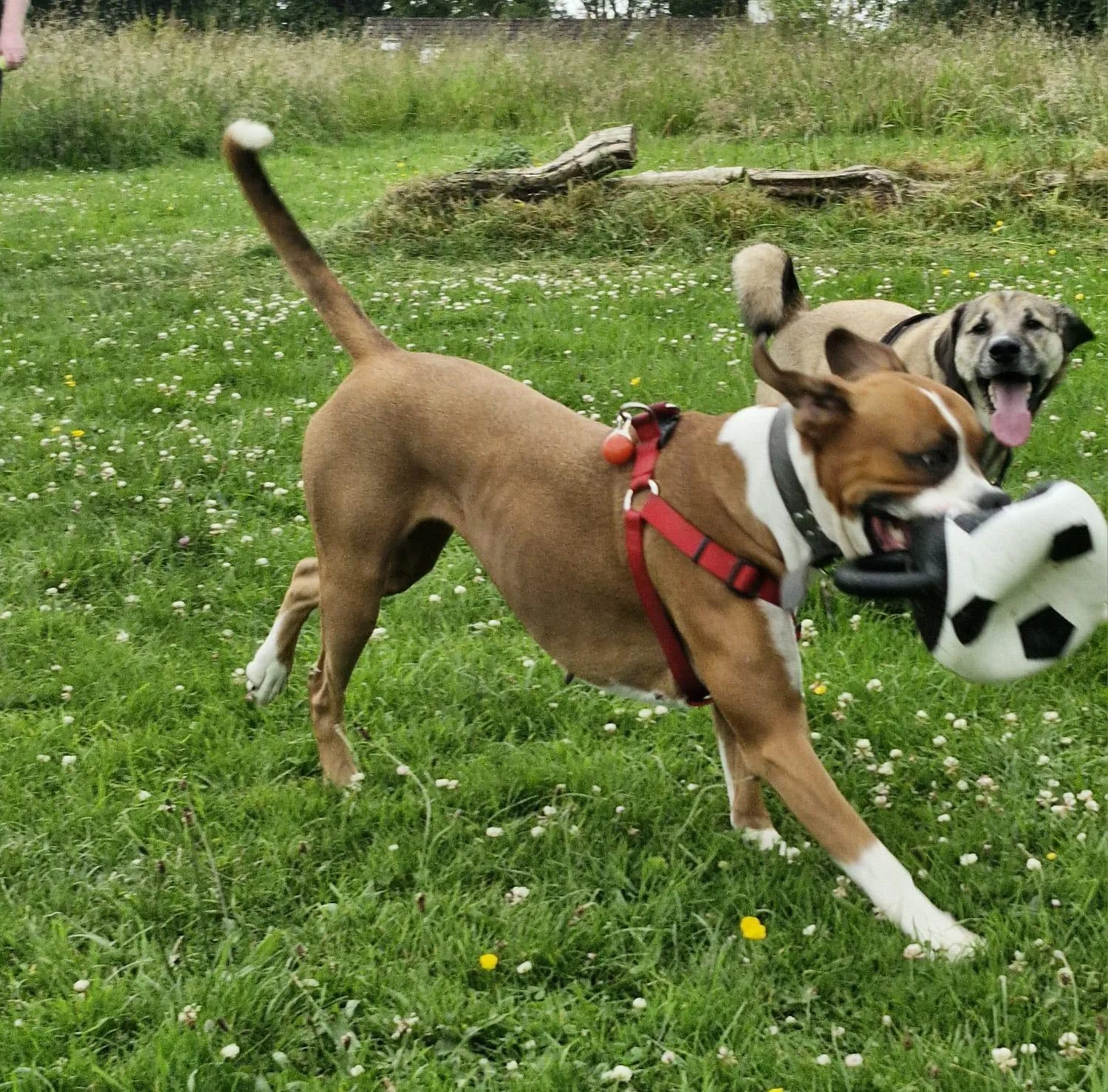 WhatsApp Image 2024-09-06 at 14.54.50.jpeg