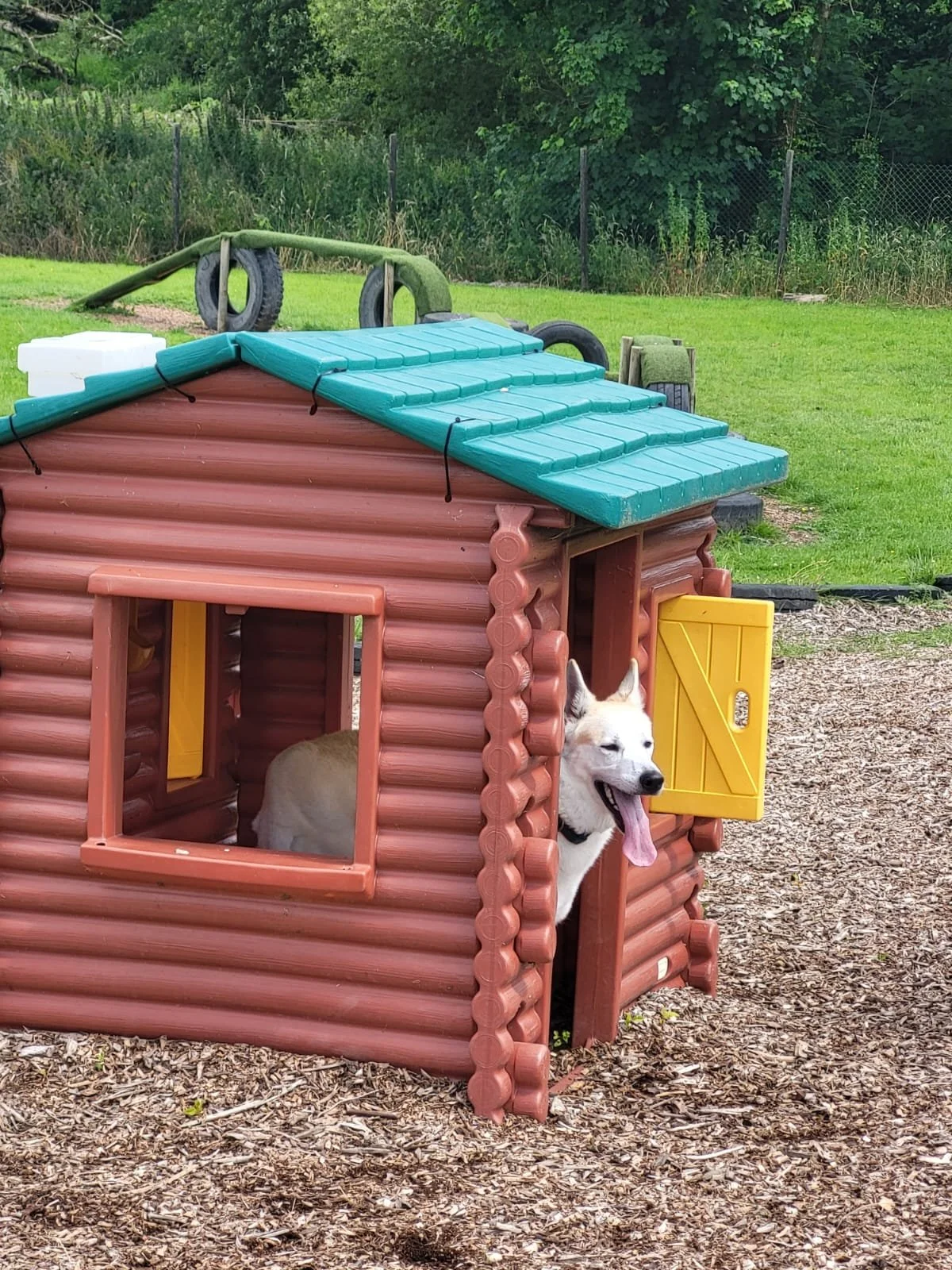 WhatsApp Image 2024-09-06 at 15.01.57 (2).jpeg