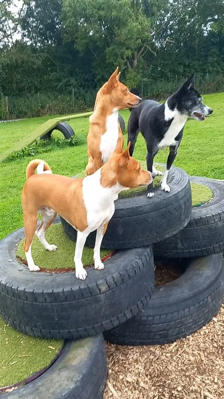 WhatsApp Image 2024-09-06 at 15.01.56 (1).jpeg