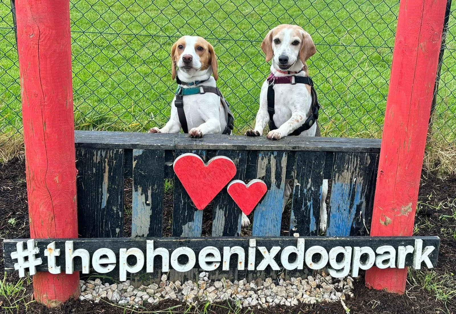 WhatsApp Image 2024-09-06 at 15.01.45 (2).jpeg