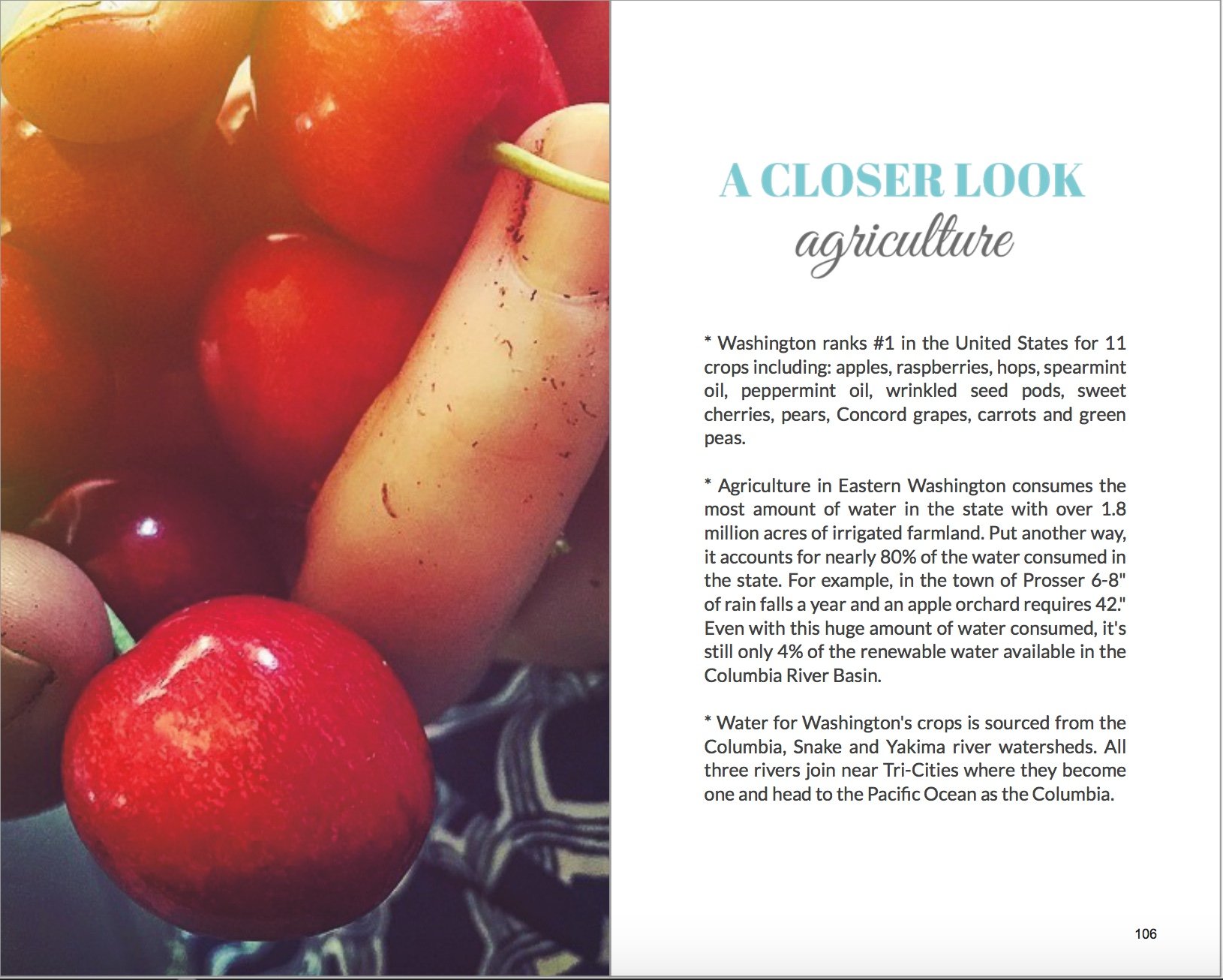 closer look cherries.jpeg