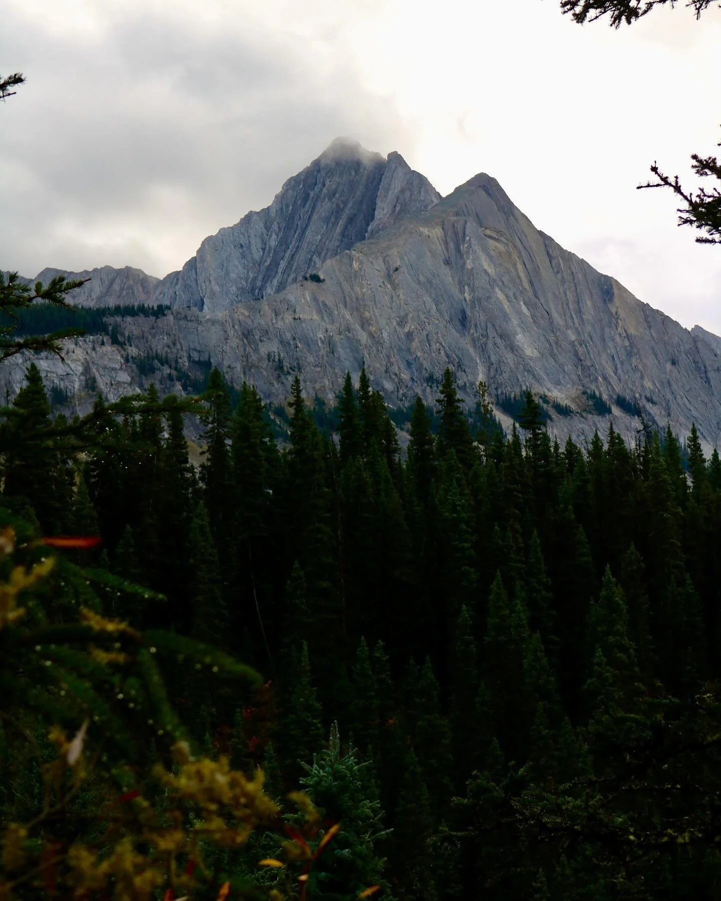 Johnston Canyon to Ink Pots &mdash; the last hike of our sister trip  in Banff 🏔️

The 7 mile Ink Pots hike via Johnston Canyon is an out &amp; back trail to the 5 aquamarine ink pot pools with a 1,899 foot elevation gain. 🥾