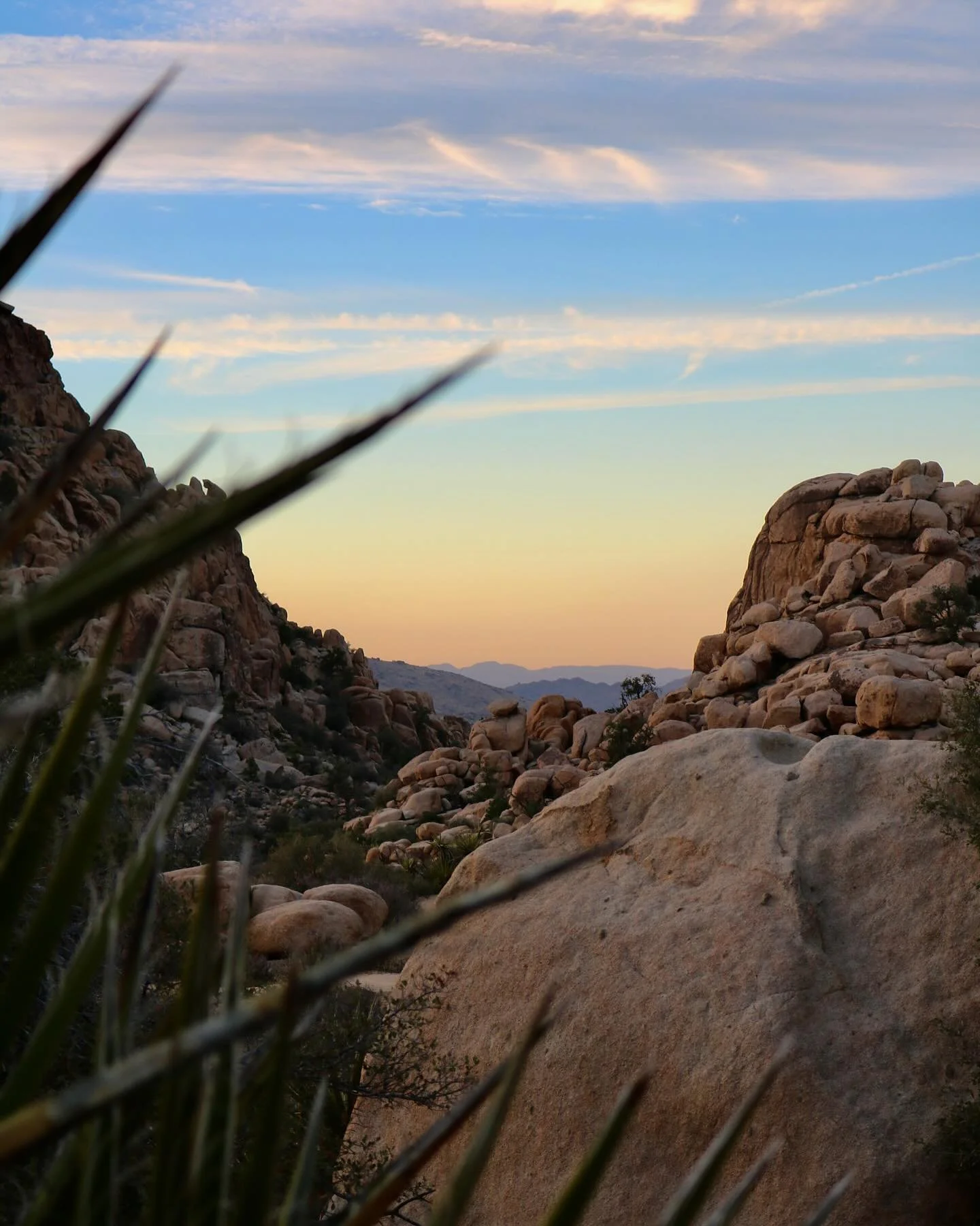 Hidden Valley Trail 🥾 a one-mile loop hike in Joshua Tree National Park through a scenic valley surrounded by large rock formations.

P.S. &mdash; there was no ranch to be found in said hidden valley