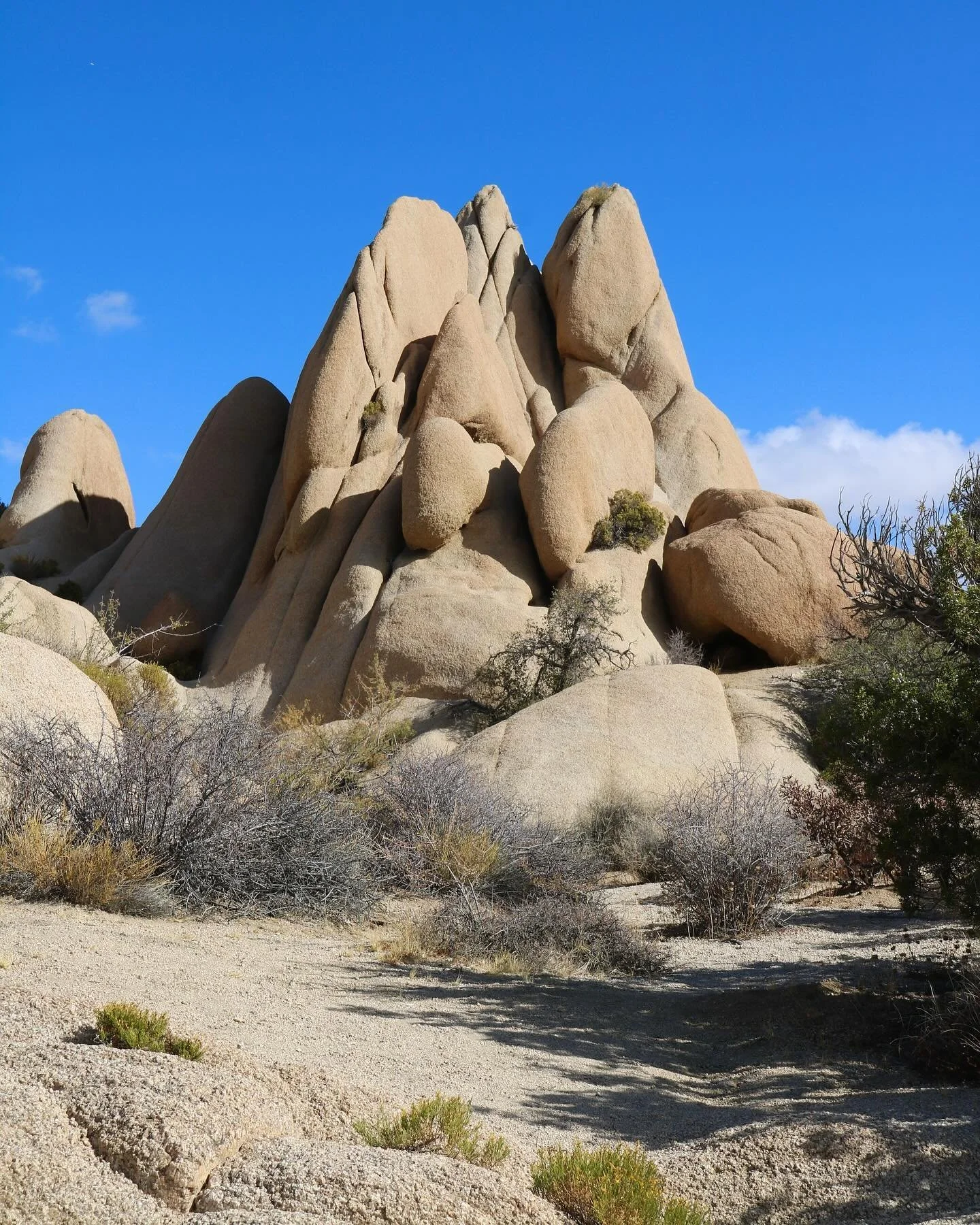 Joshua Tree National Park, located in Southern California, is known for its rugged rock formations and is named after the distinctive Joshua trees that dot the land. 🌵 The park sits on Yuhaviatam/Maarenga&rsquo;yam (Serrano), Southern Paiute, Cocopa