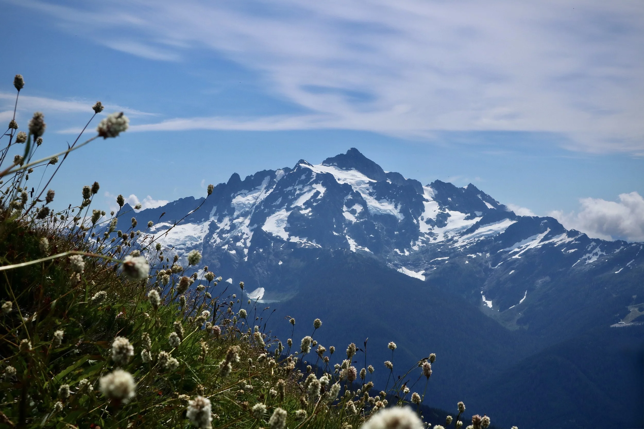 August 2025 | Bellingham, WA