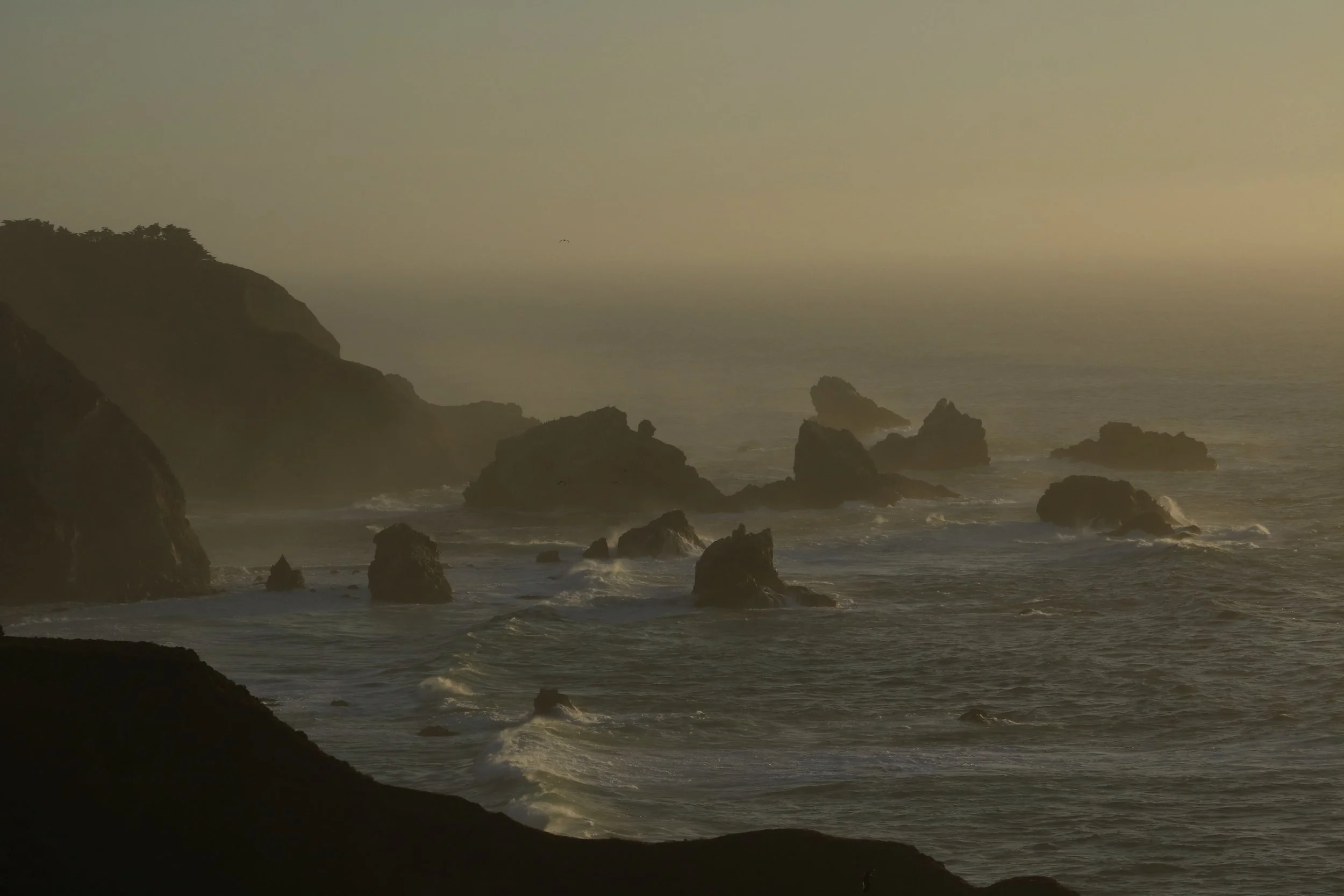 October / November 2025 | Pacific Grove, CA