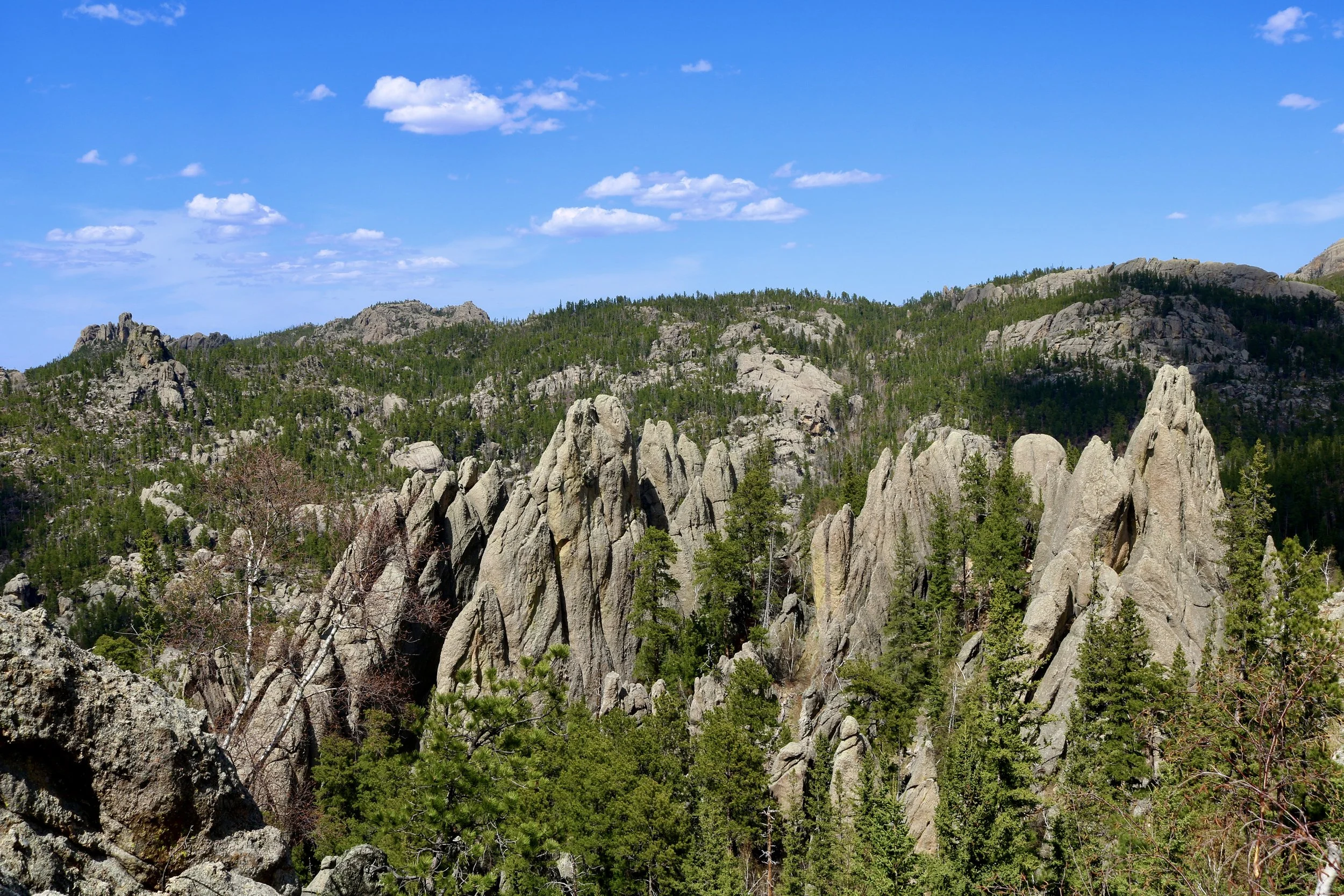 May 2025 | South Dakota