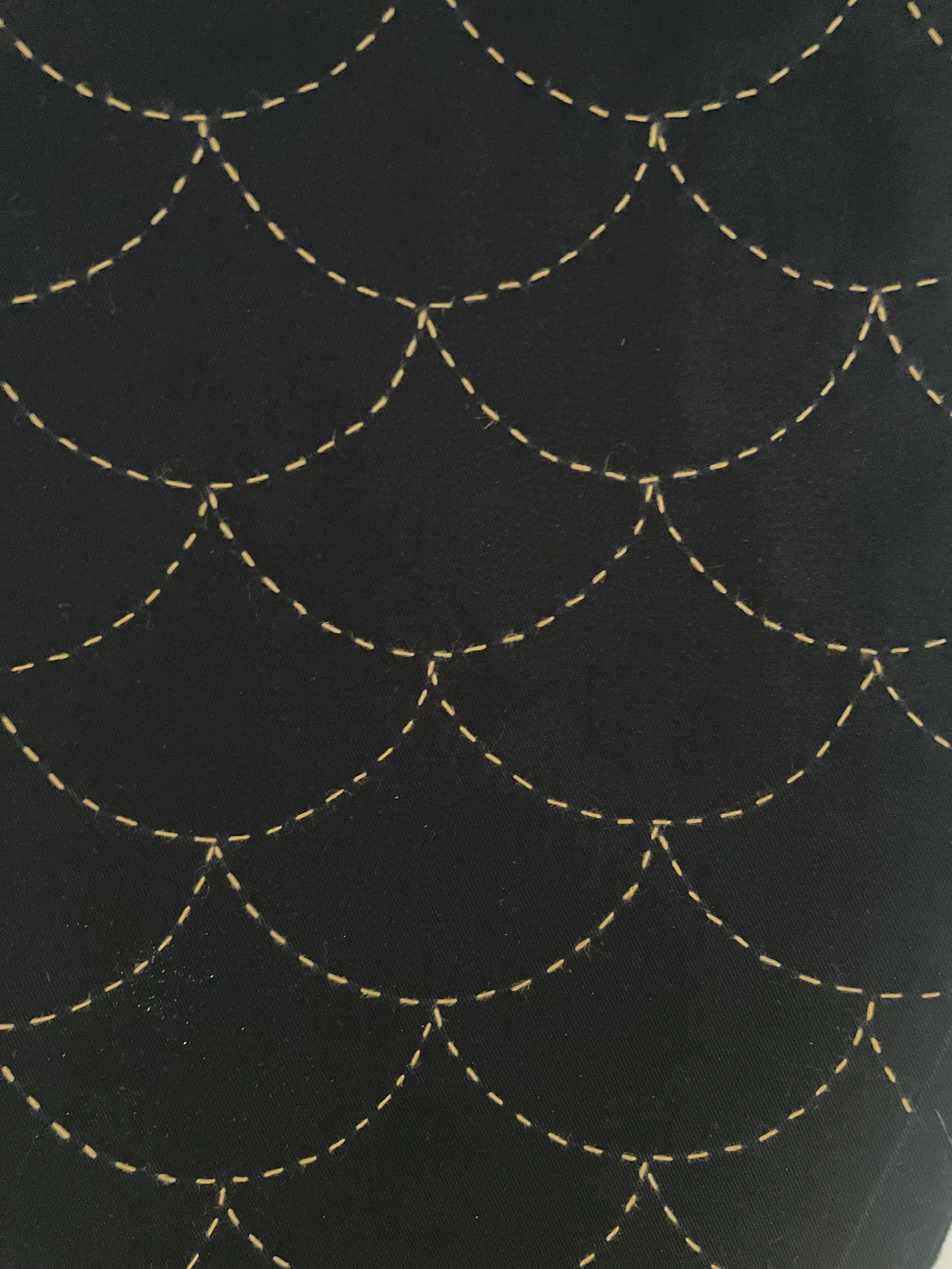 IMG_2015.jpeg