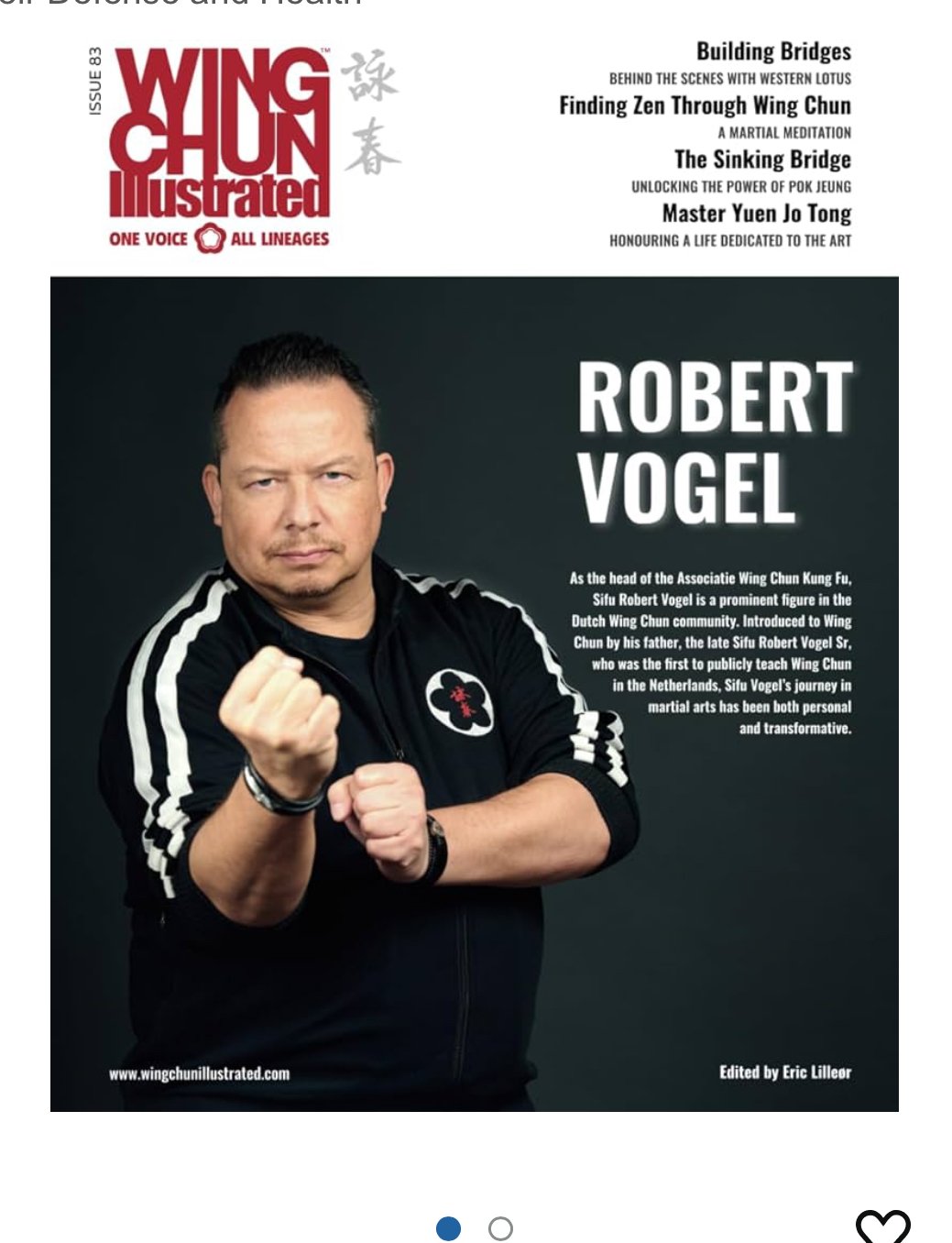 wing_chun_illustrated01.jpeg