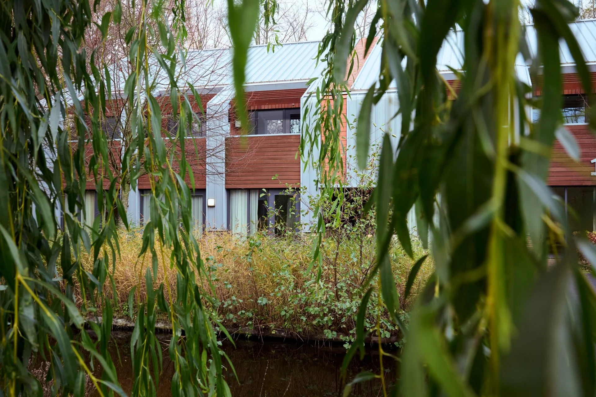  Rivierduinen, Leidschendam, Zuid-Holland, Nederland - 24 11 2025: stock foto omgeving ggz locatie Rivierduinen. 