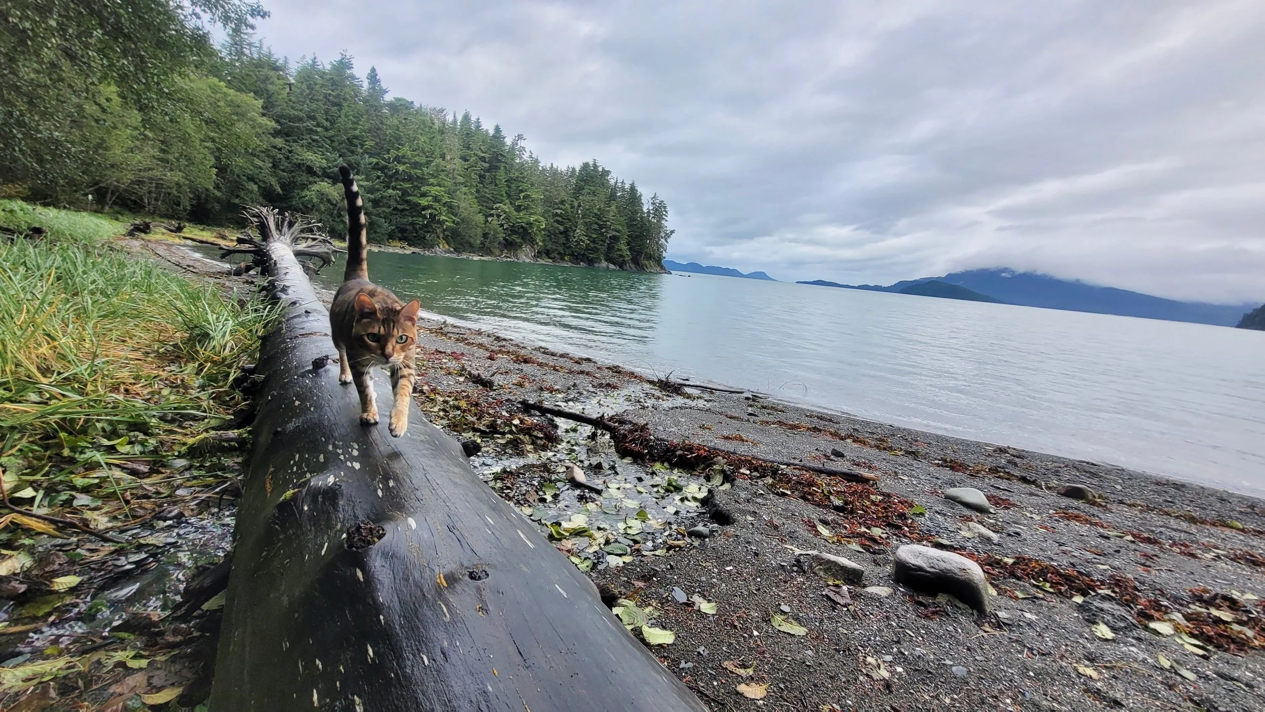 zakari by the lake.jpeg