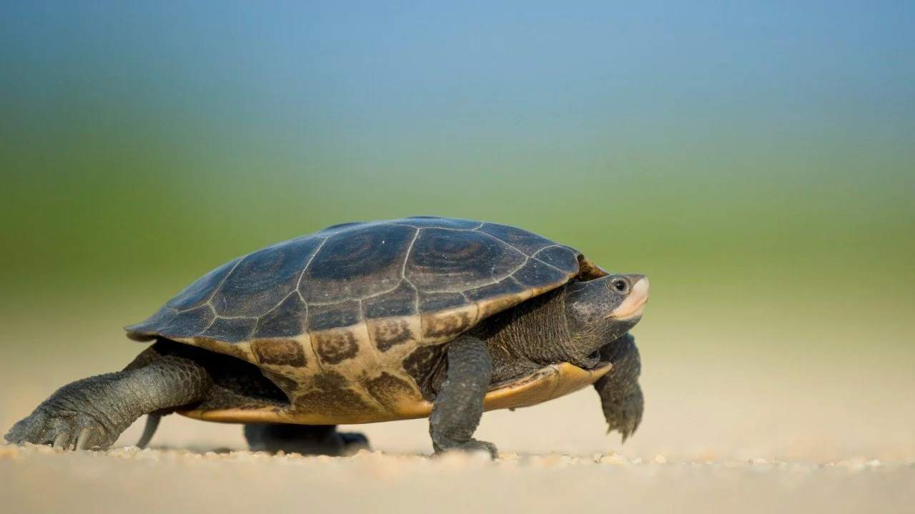 Why Your Sales Cycle Feels Longer Than It Should