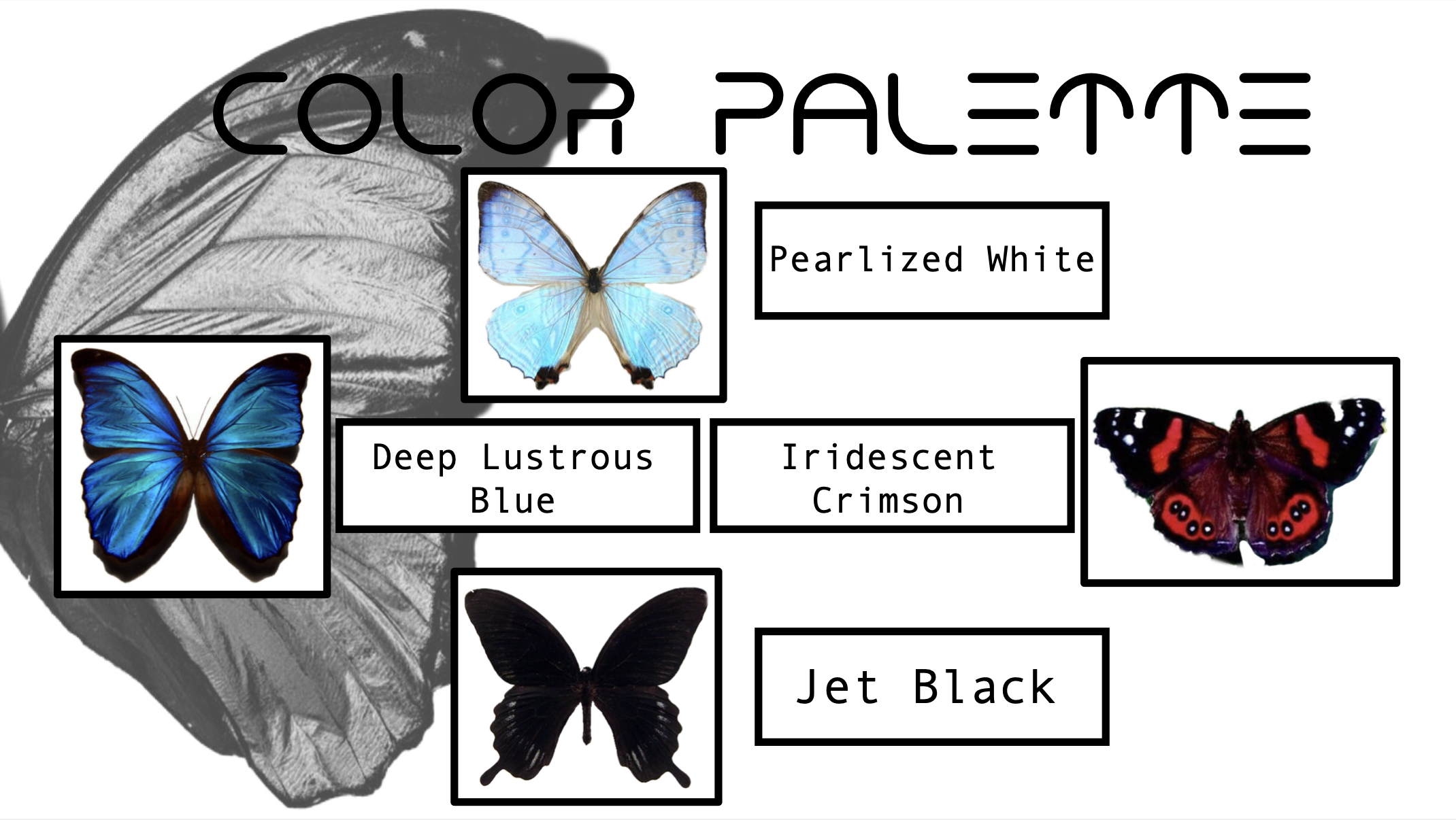 Screen Shot 2025-02-14 at 4.31.58 PM.png