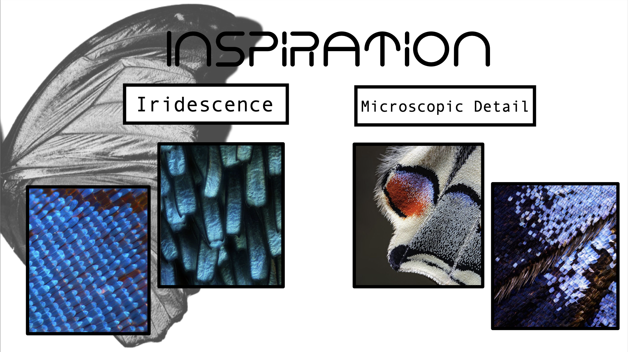 Screen Shot 2025-02-14 at 4.31.49 PM.png