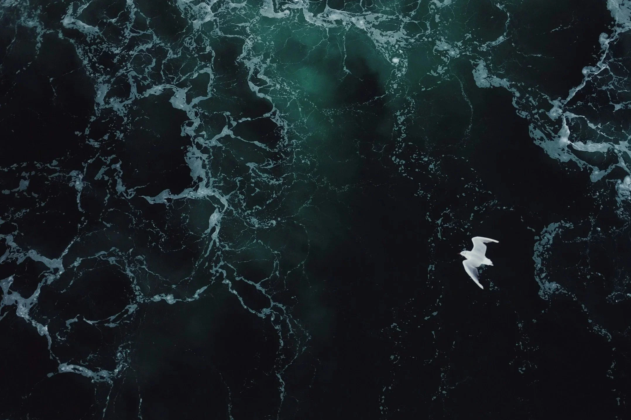 Why Insight Alone Doesn’t Heal Anxiety 