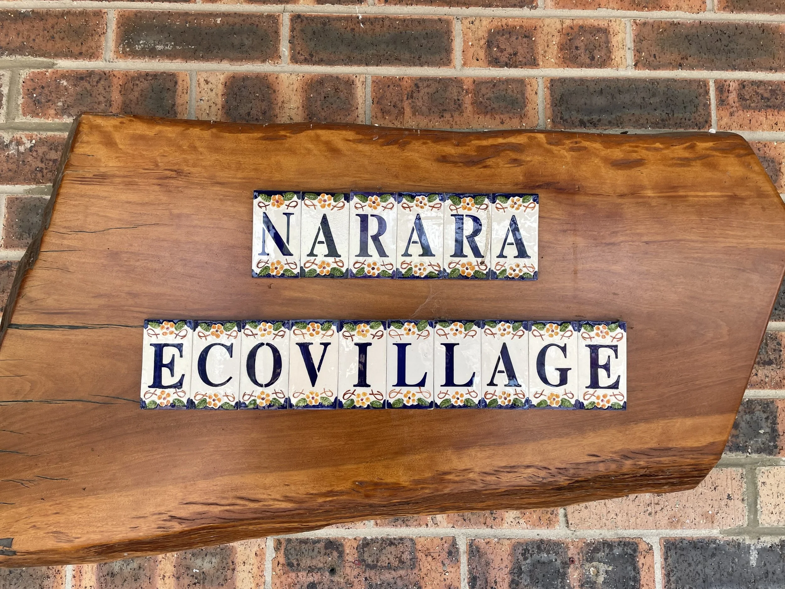 From Vision to Reality of Building a Thriving Ecovillage: Interview with founder Lyndall Parris