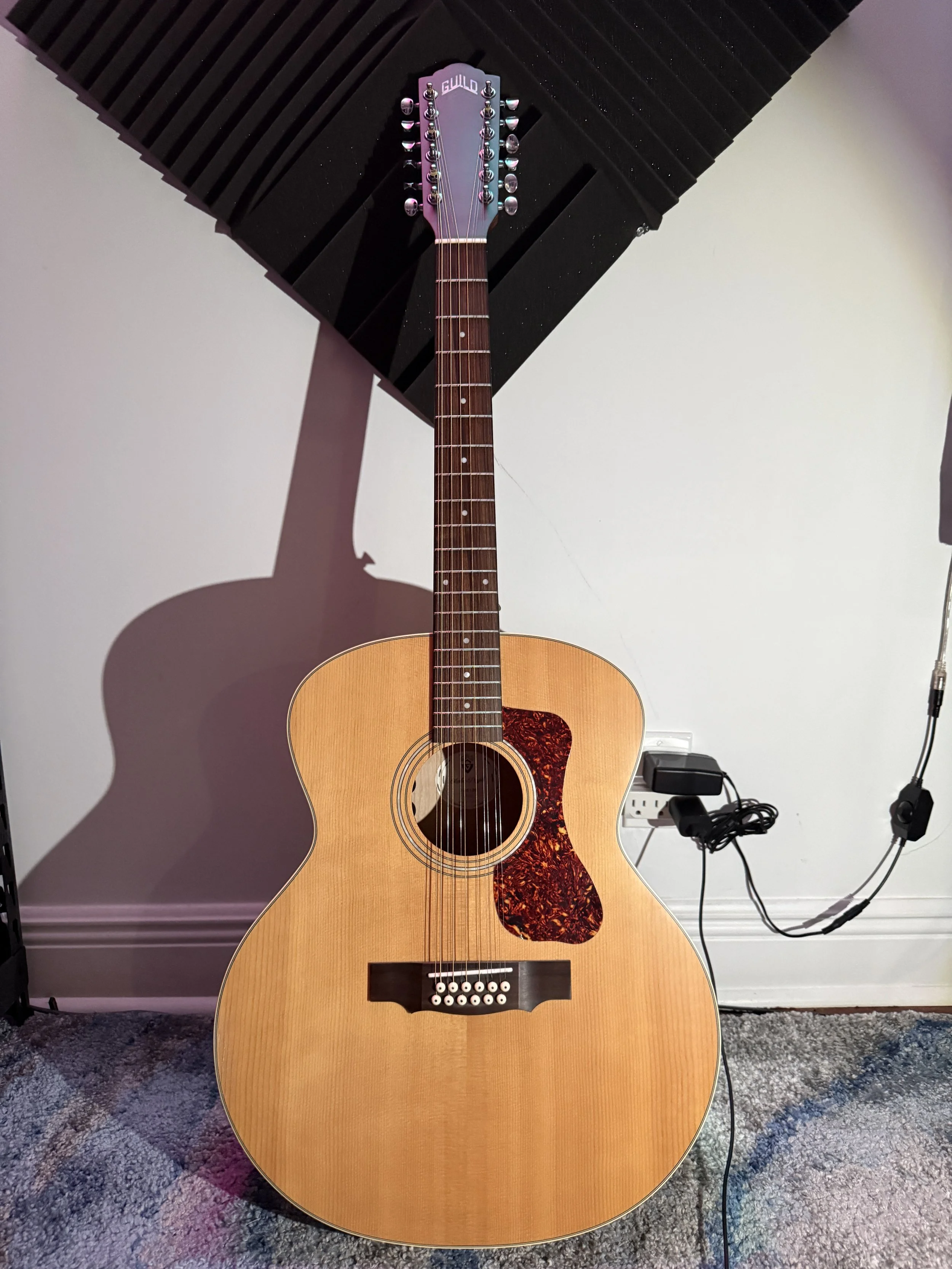 Name: Twelve |
Model: Guild 12-String |
Finish: Natural |
Background: To be honest, I have next to no use for this, but I did play it on "Strong is the Mind," filling out a massive sea of guitars in that track with overtones only 12s can produce.