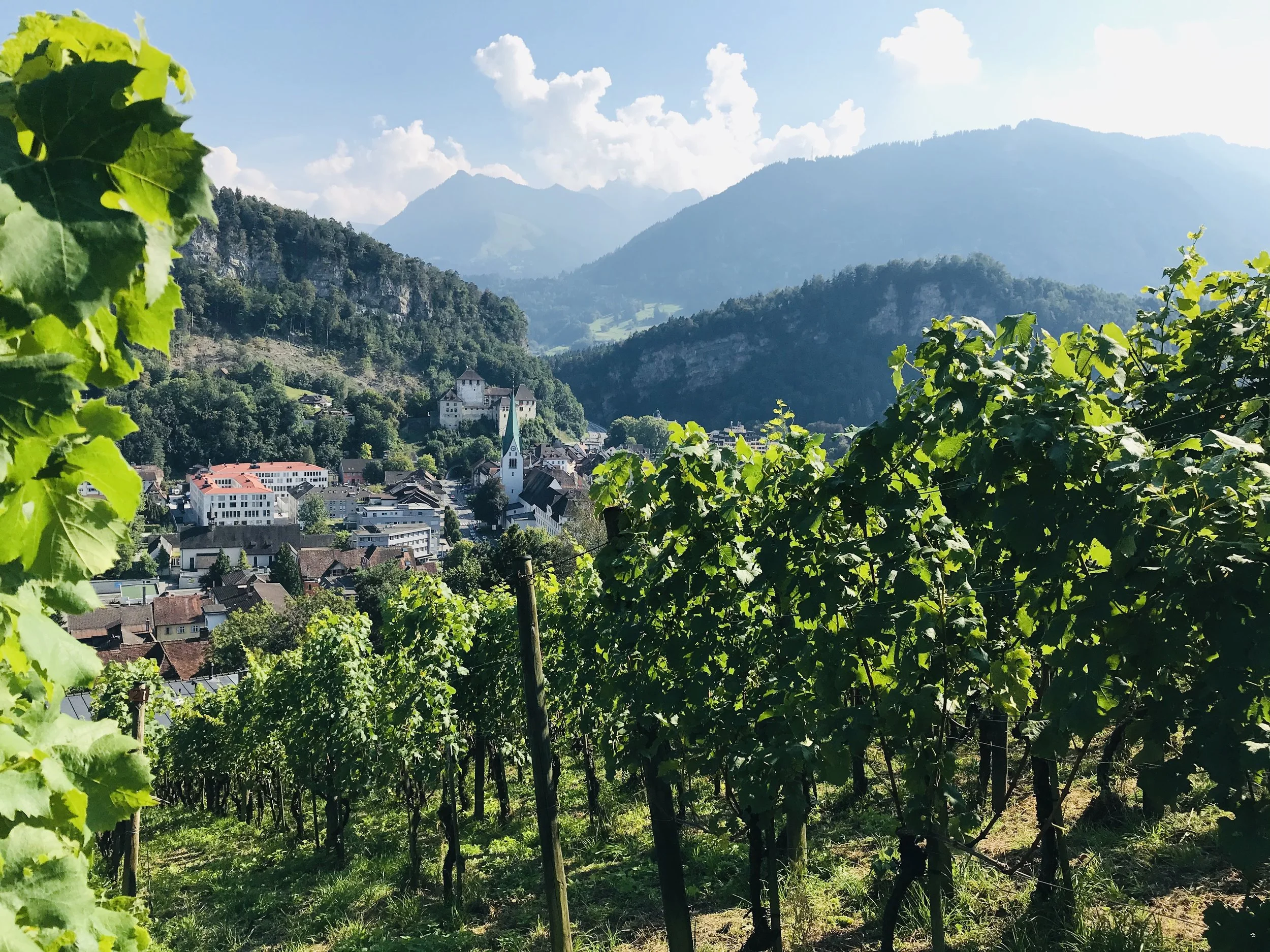 Muttertagsspecial in der Churertor Vinothek