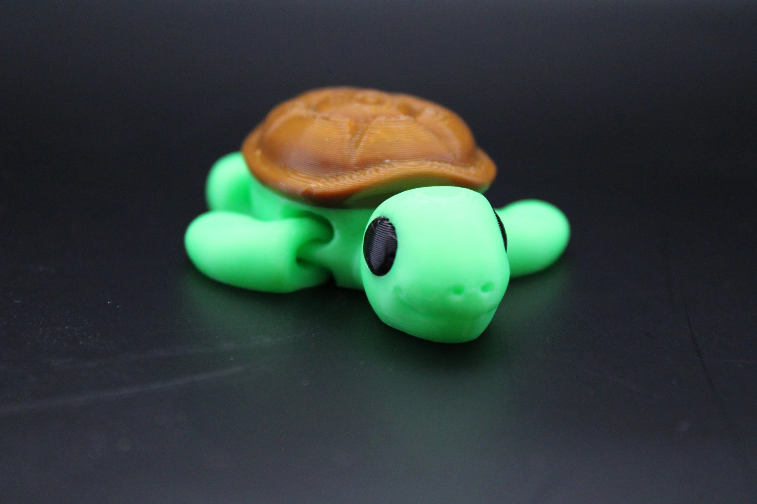 Turtle