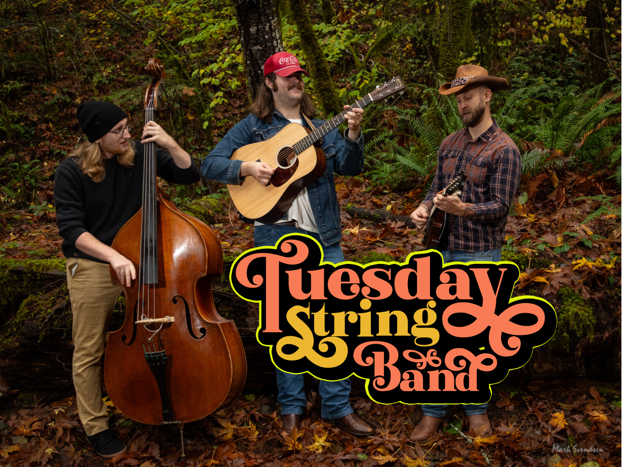 Tuesday String Band LIVE at The Rosebud