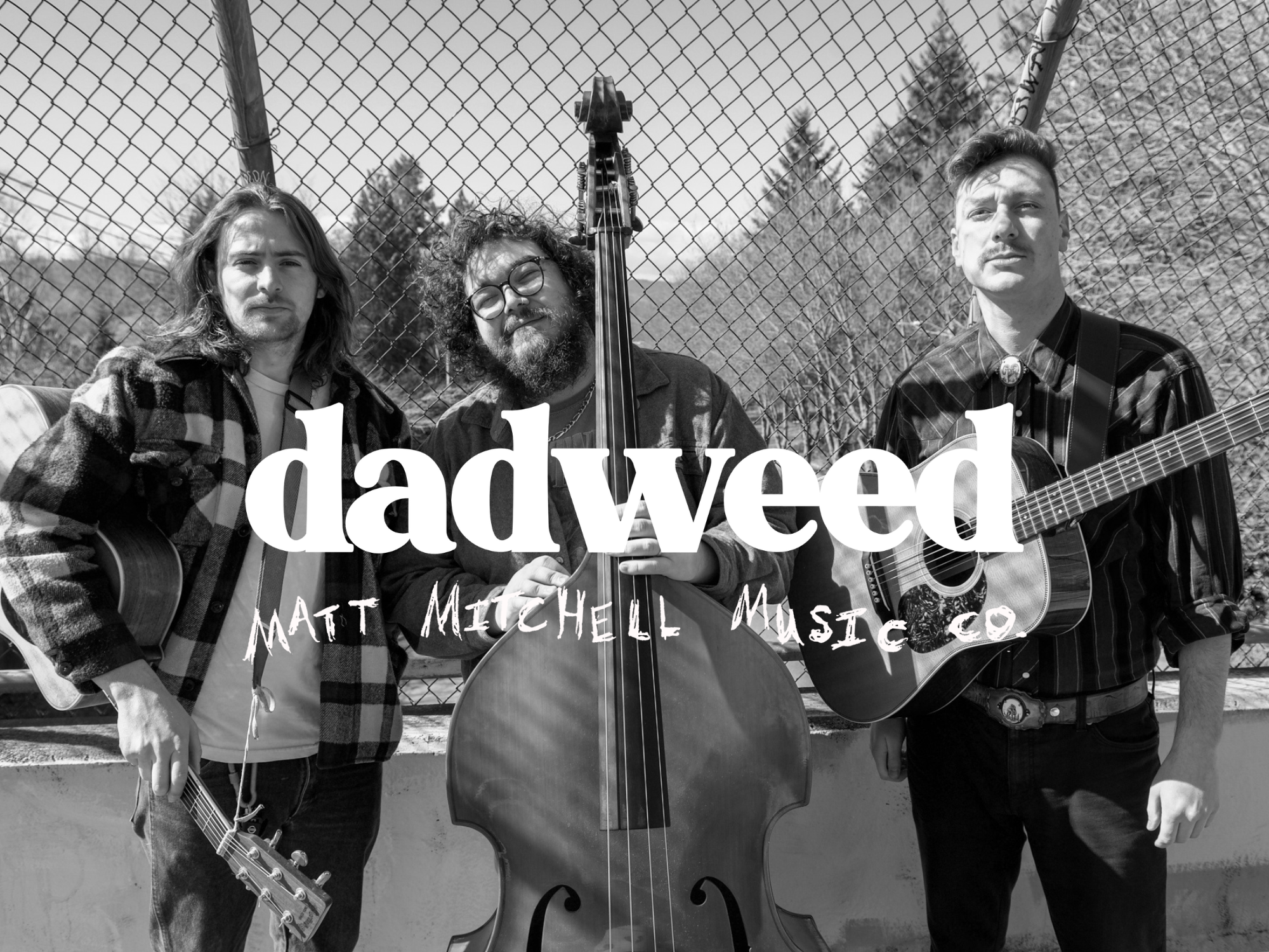 dadweed, Matt Mitchell Music Co LIVE at The Rosebud