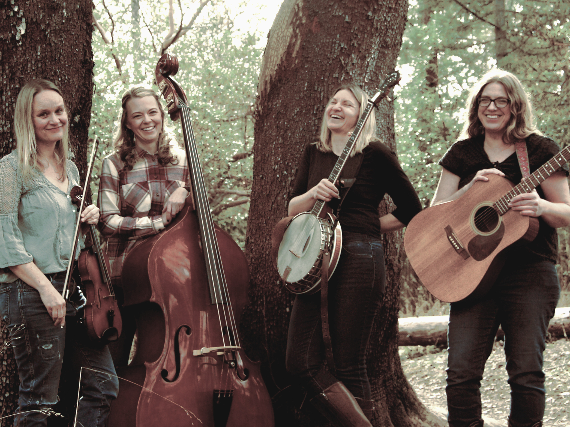 The Rosa Lees LIVE at The Rosebud