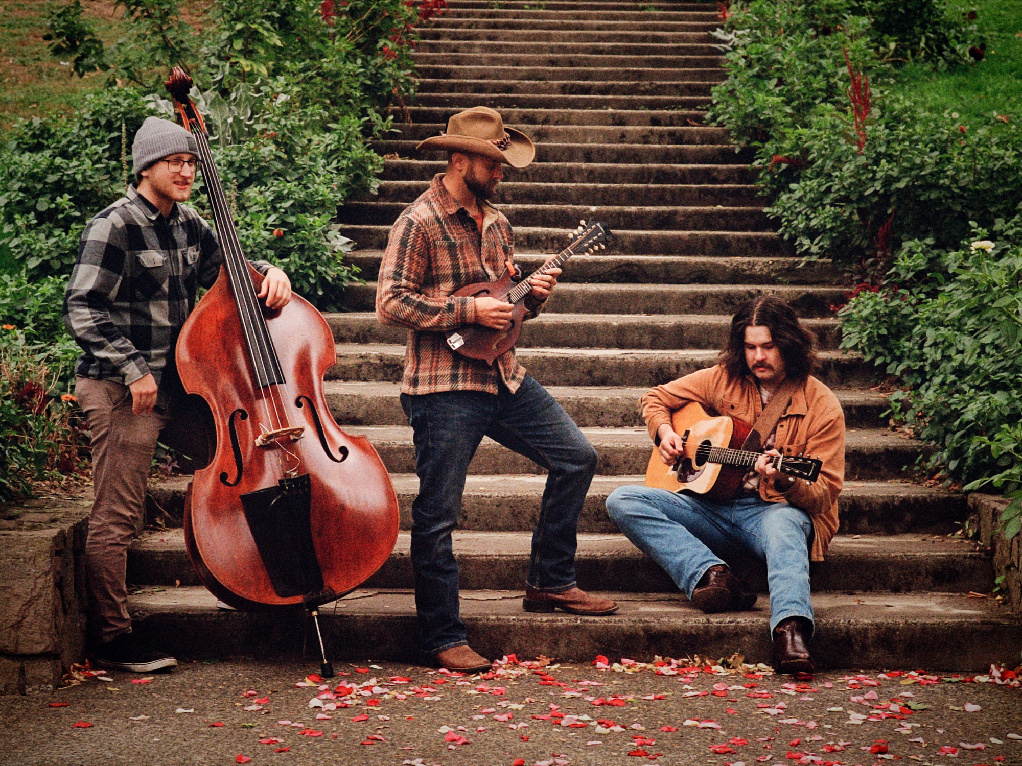 Tuesday String Band LIVE at The Rosebud