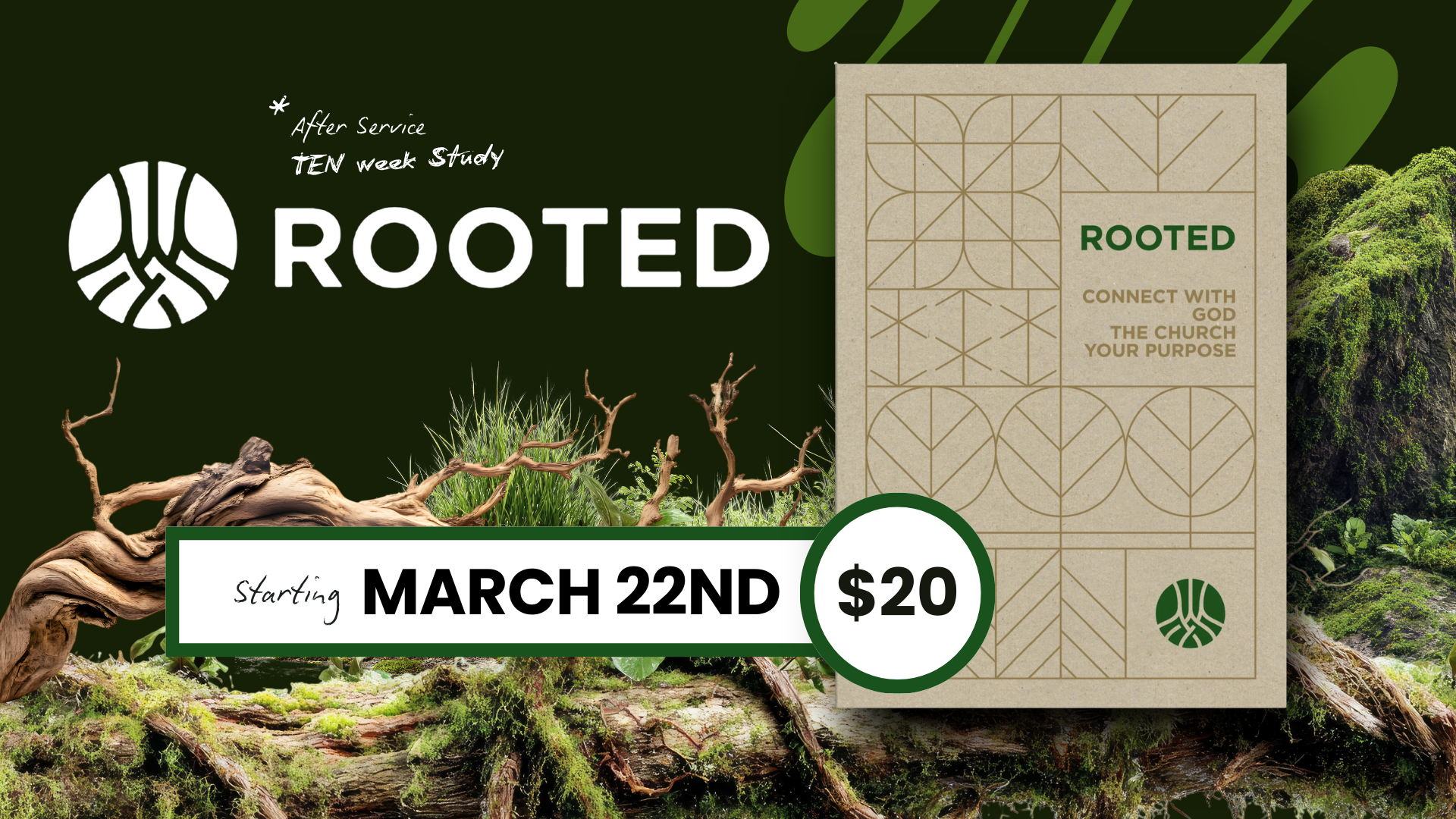 Rooted Study