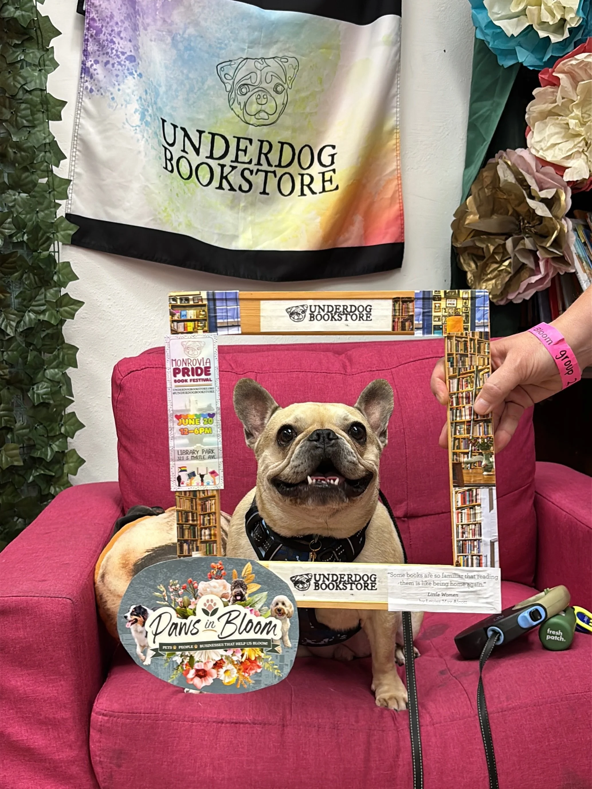 🐾🌸Paws in Bloom 🌸🐾

Thanks for visiting us for the first Monrovia Pup Crawl, presented by Pet Care Club of the Foothills &amp; The Dog Zone - Monrovia 🐾 

We hope to see you again on June 20 for books and barks in the park 🏳️&zwj;🌈

#PawsInBlo