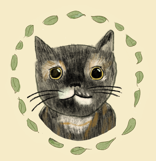 Cat Adoptions w/ Akira Apocalypse Cat Rescue