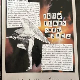 It is an art piece of a collage from a magazine. It has a drawing of an angel and it says True Trans Soul Rebel.