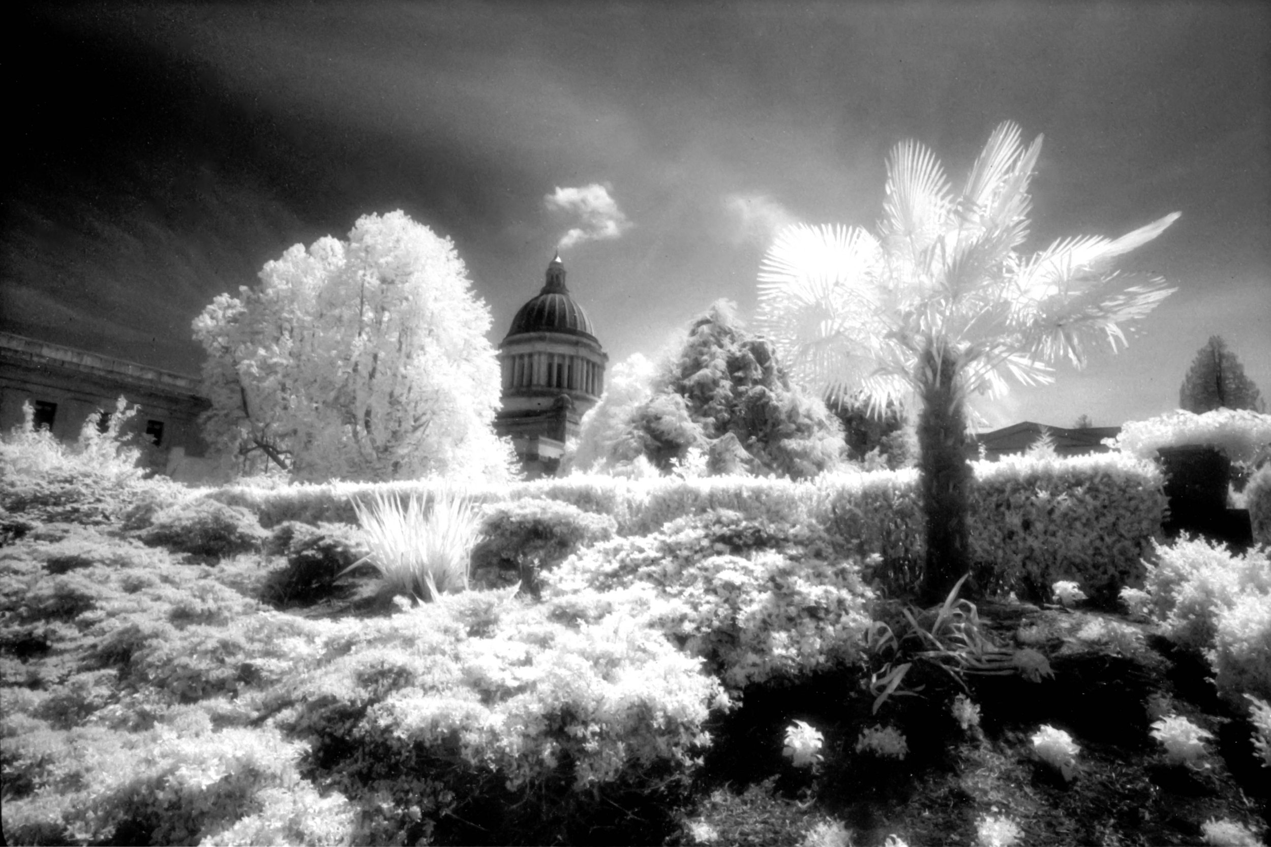 IR_Efke-2.jpg