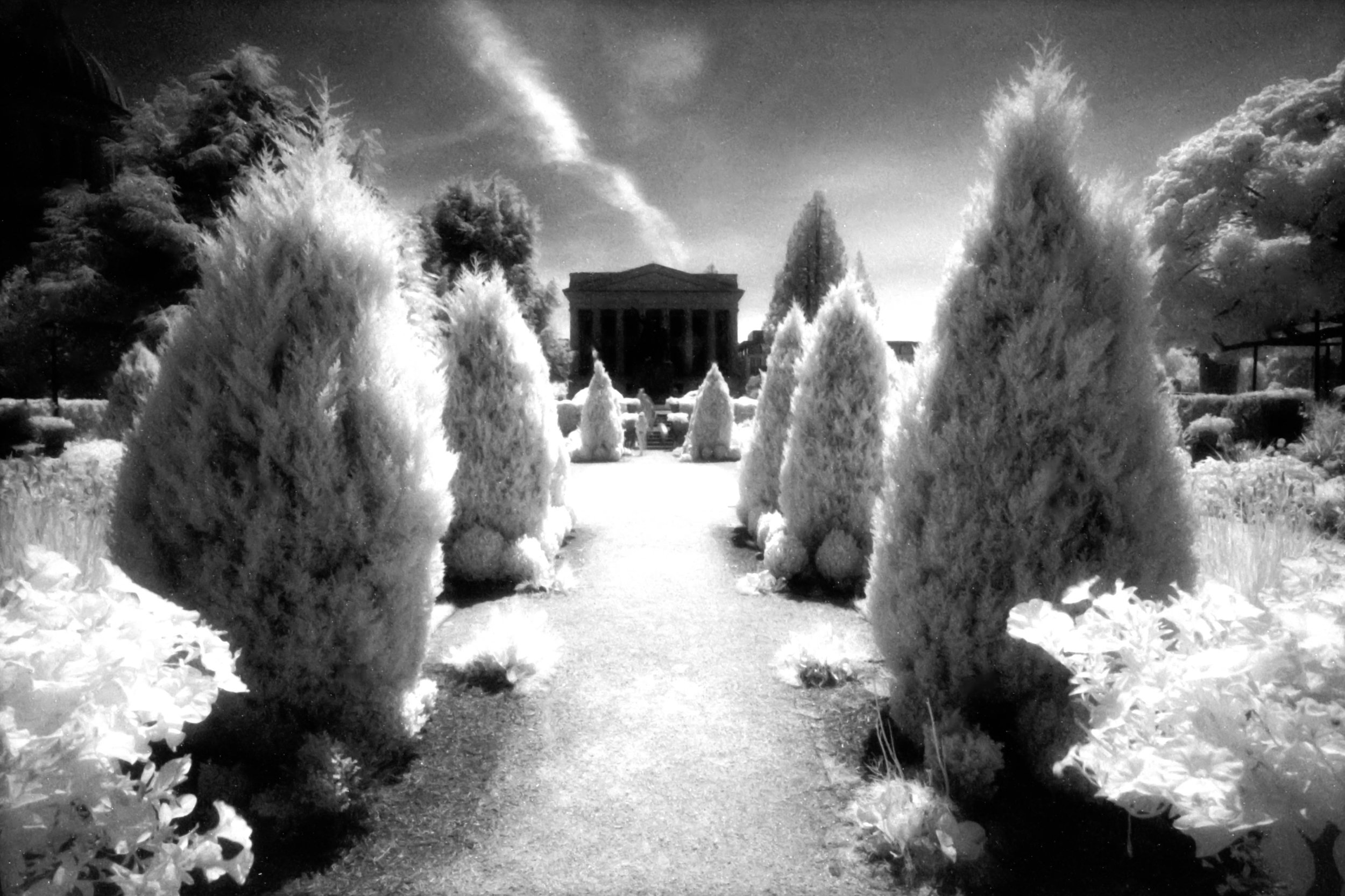 IR_Efke-1.jpg