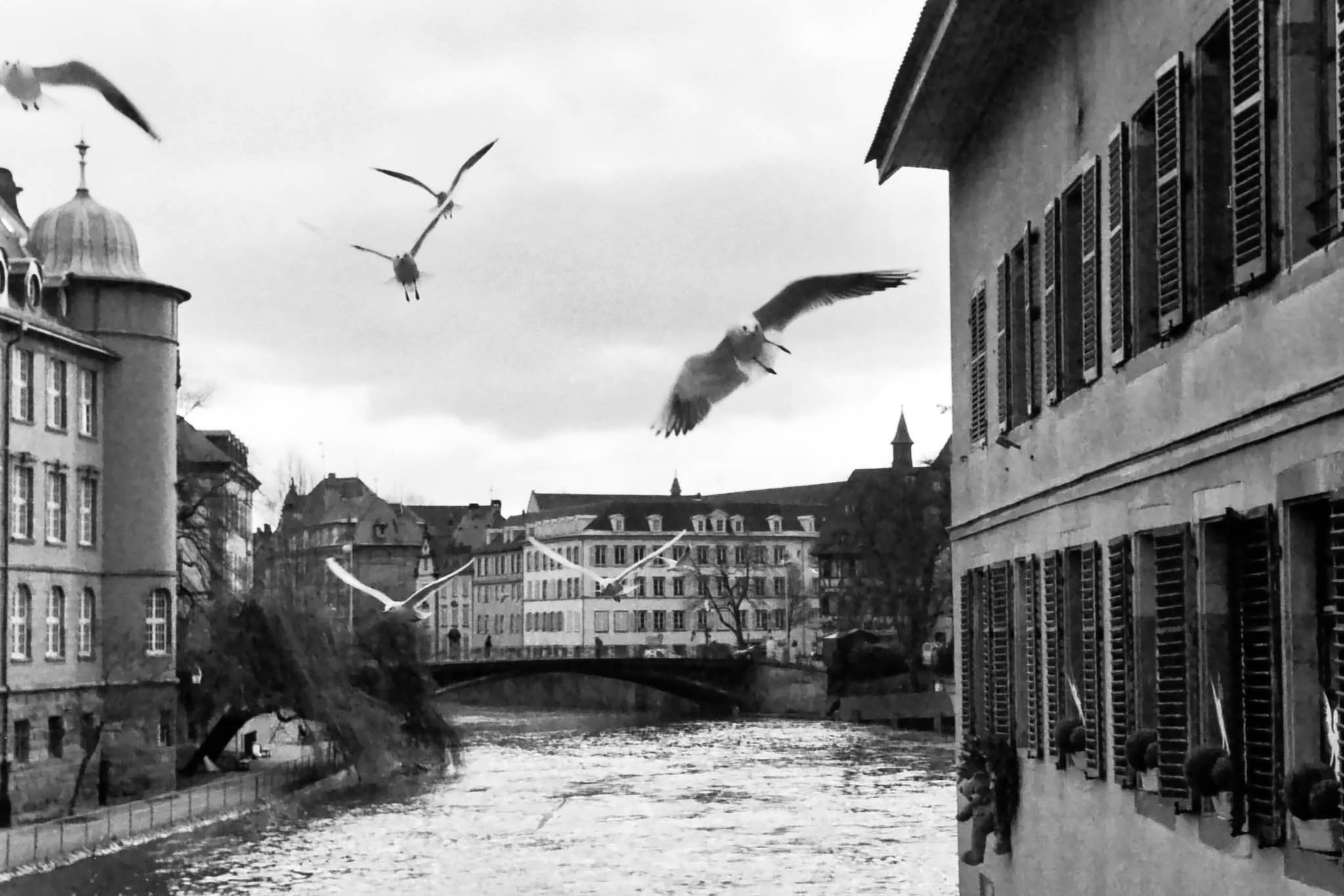 Fine art film photo photography strasbourg France