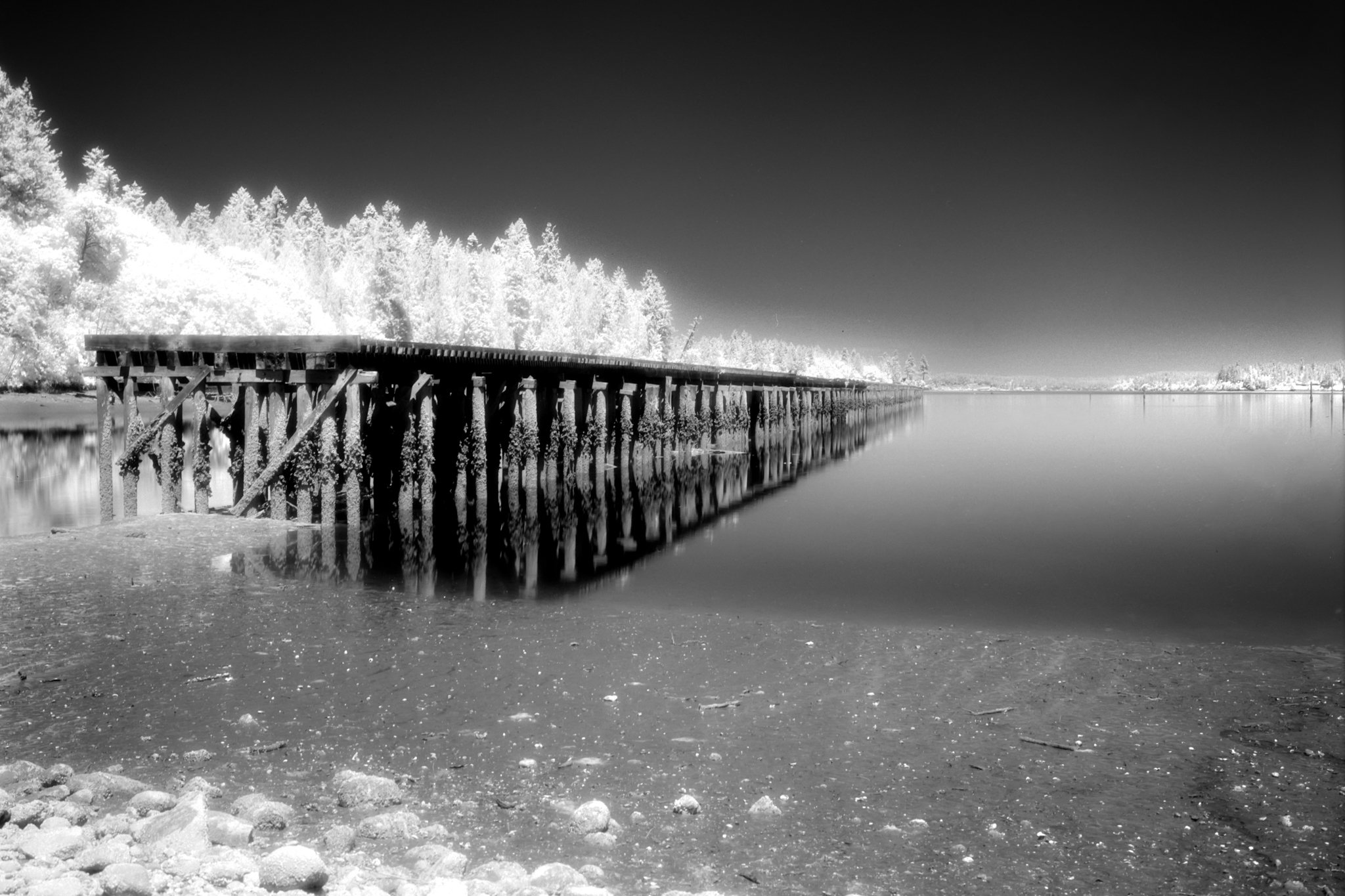 IR-1.jpg