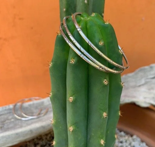 Image 10-24-22 at 2.31 PM.jpeg