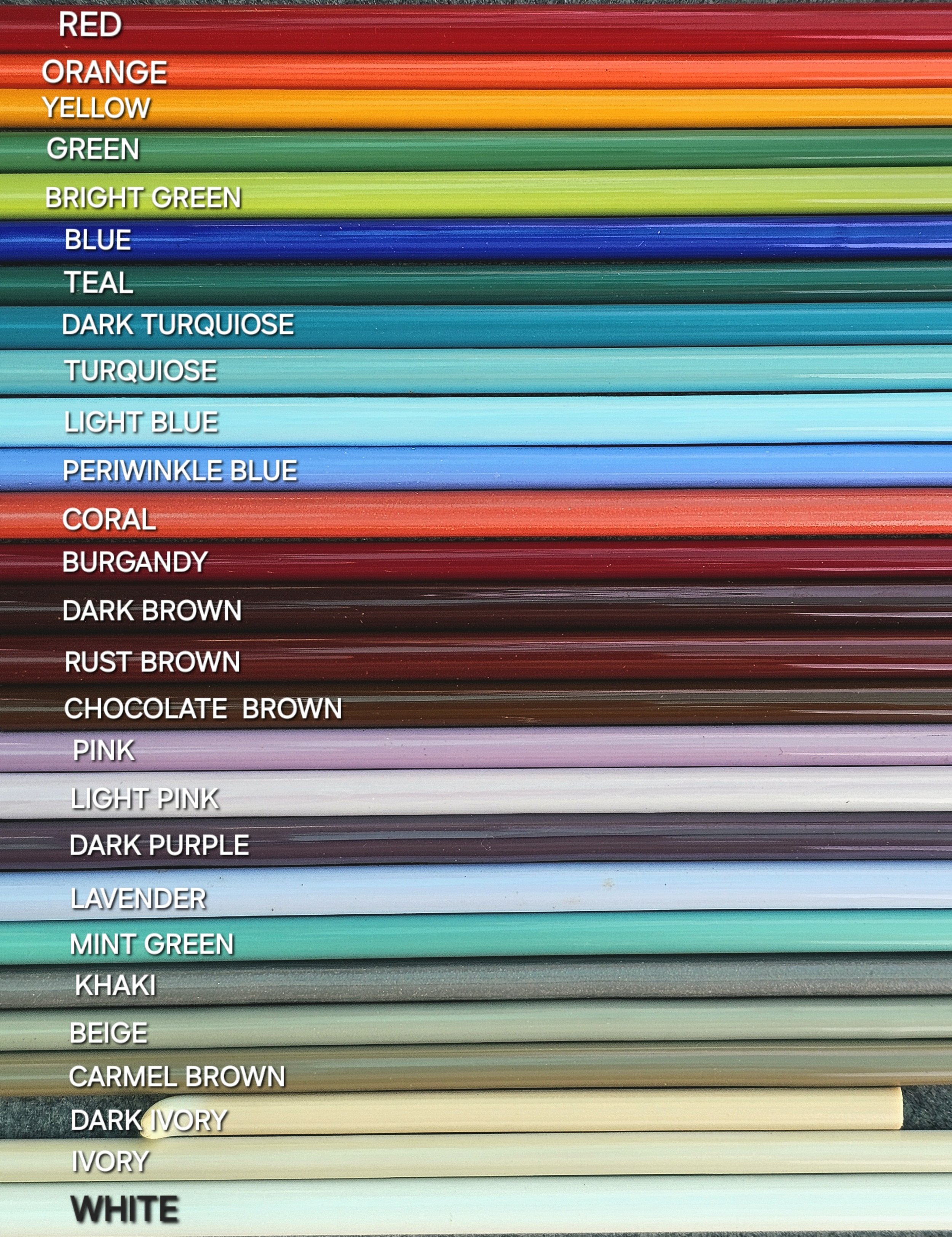 20240807_134537.jpeg