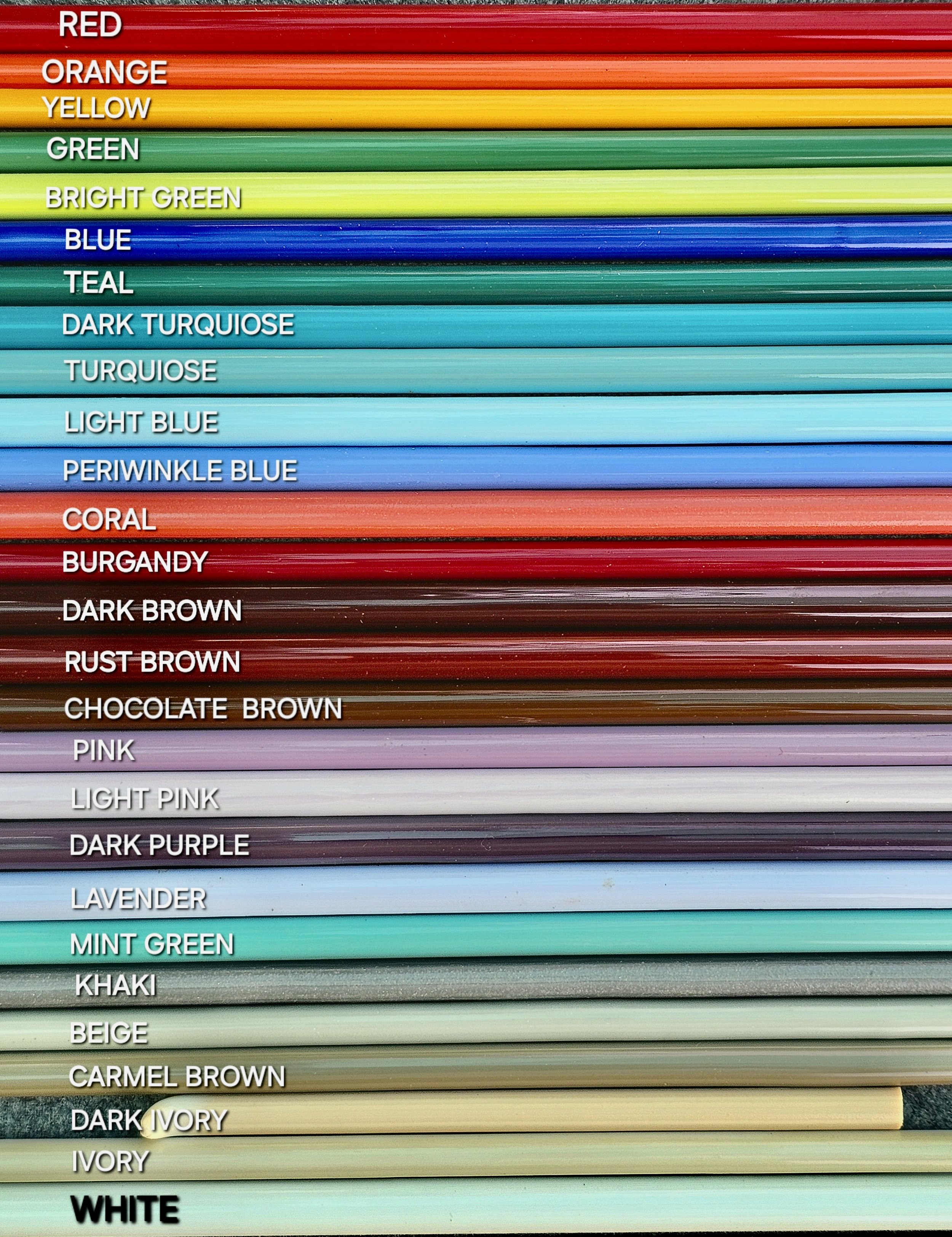 20240807_134537.jpeg