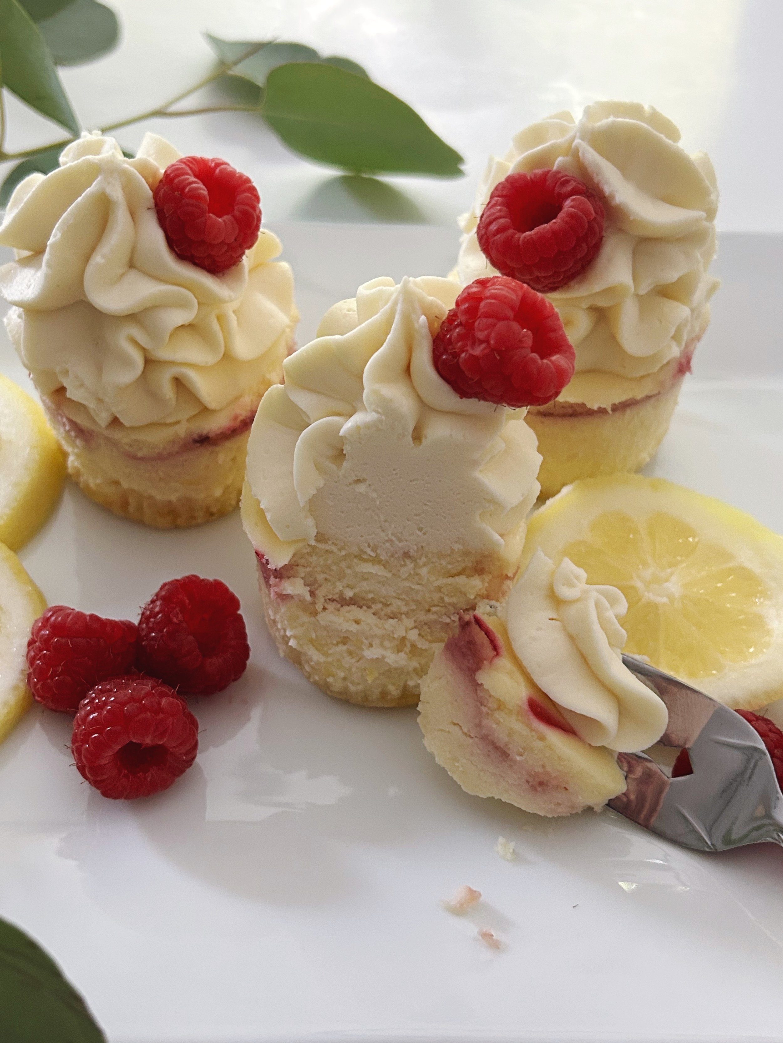 Lemon Raspberry Cheesecake