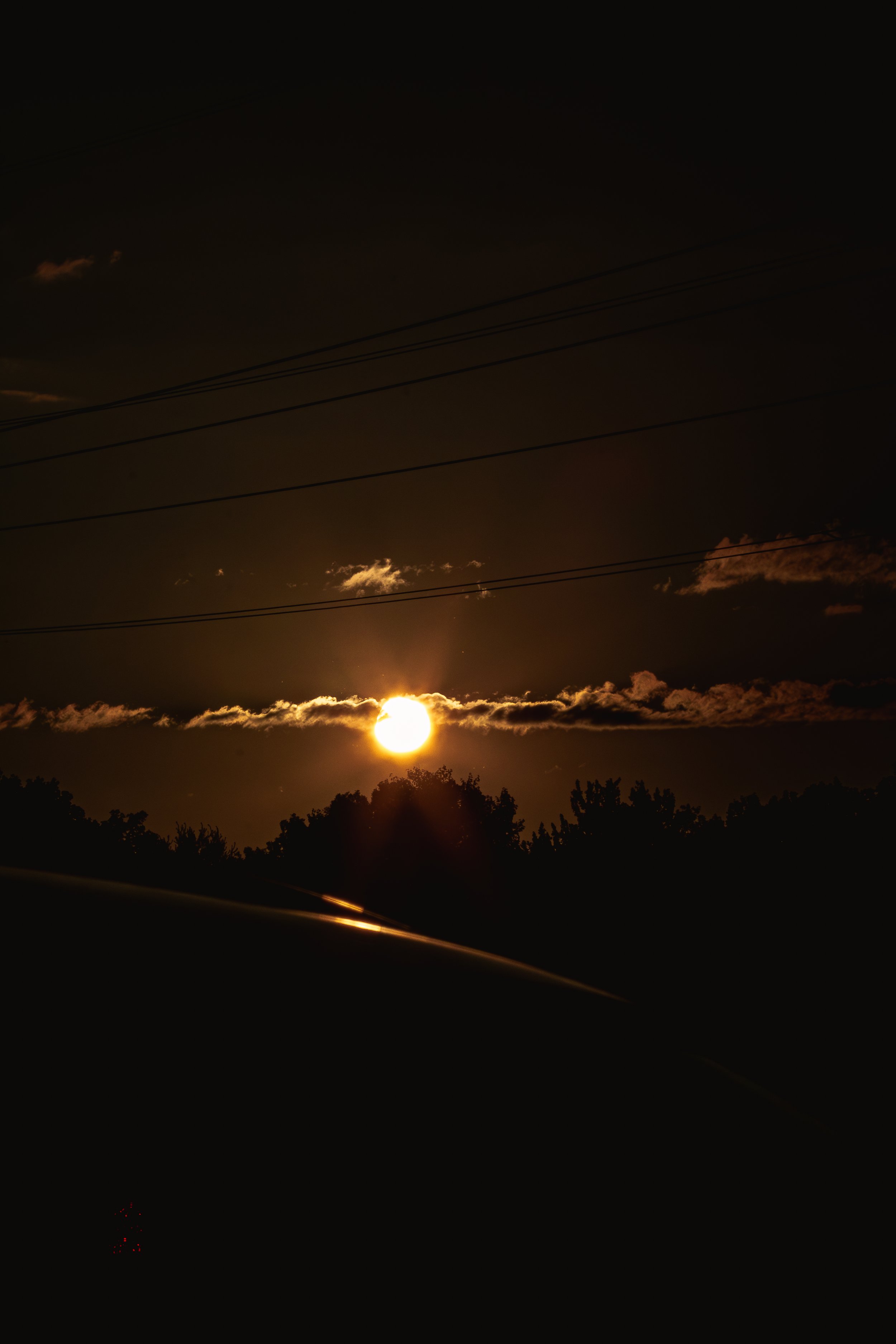 IMG_9679-Enhanced-NR.jpg