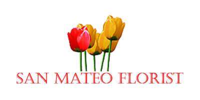 San Mateo Florist & Gifts.png