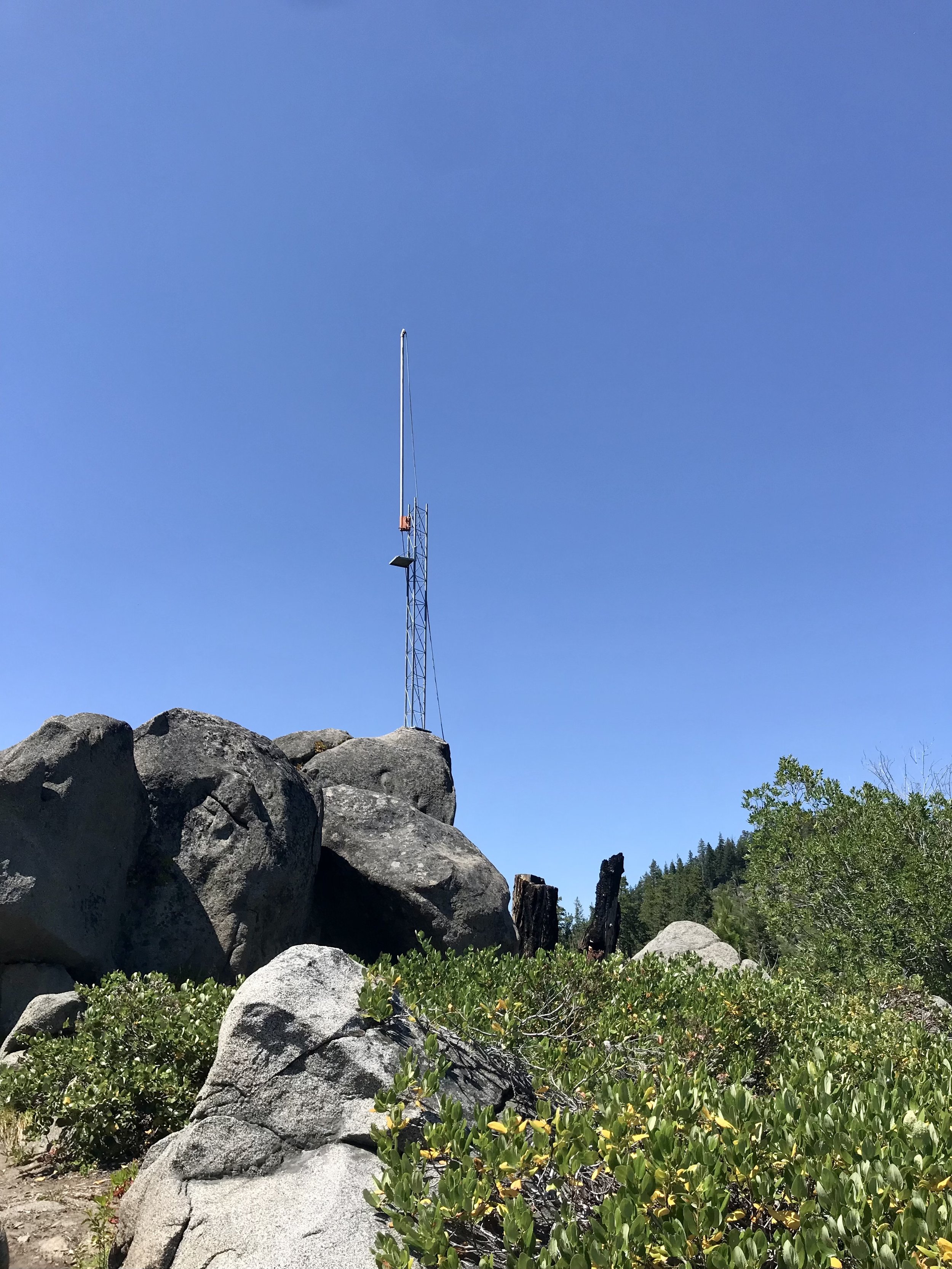 IMG_0684.jpeg